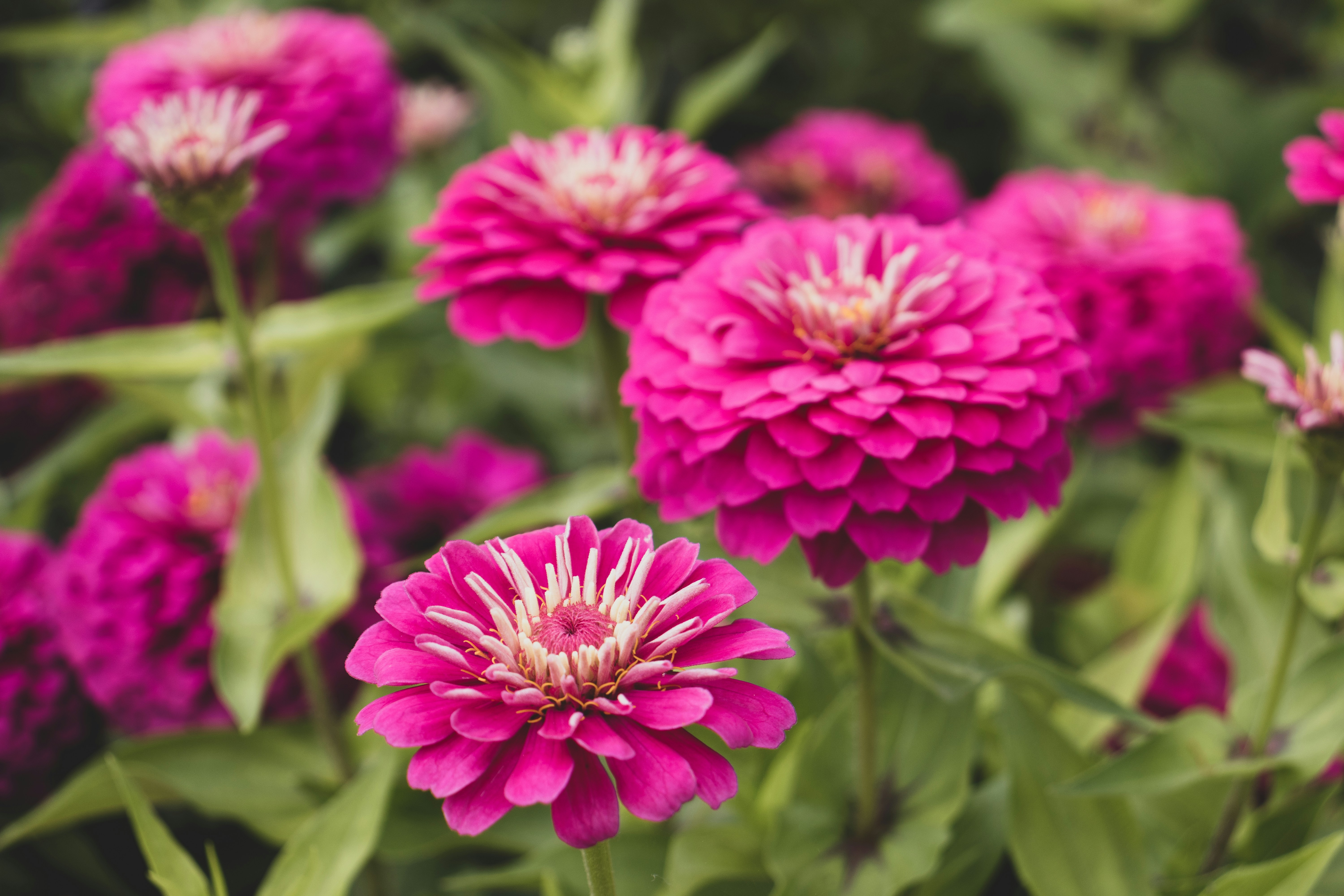 Photo by pokornymichal