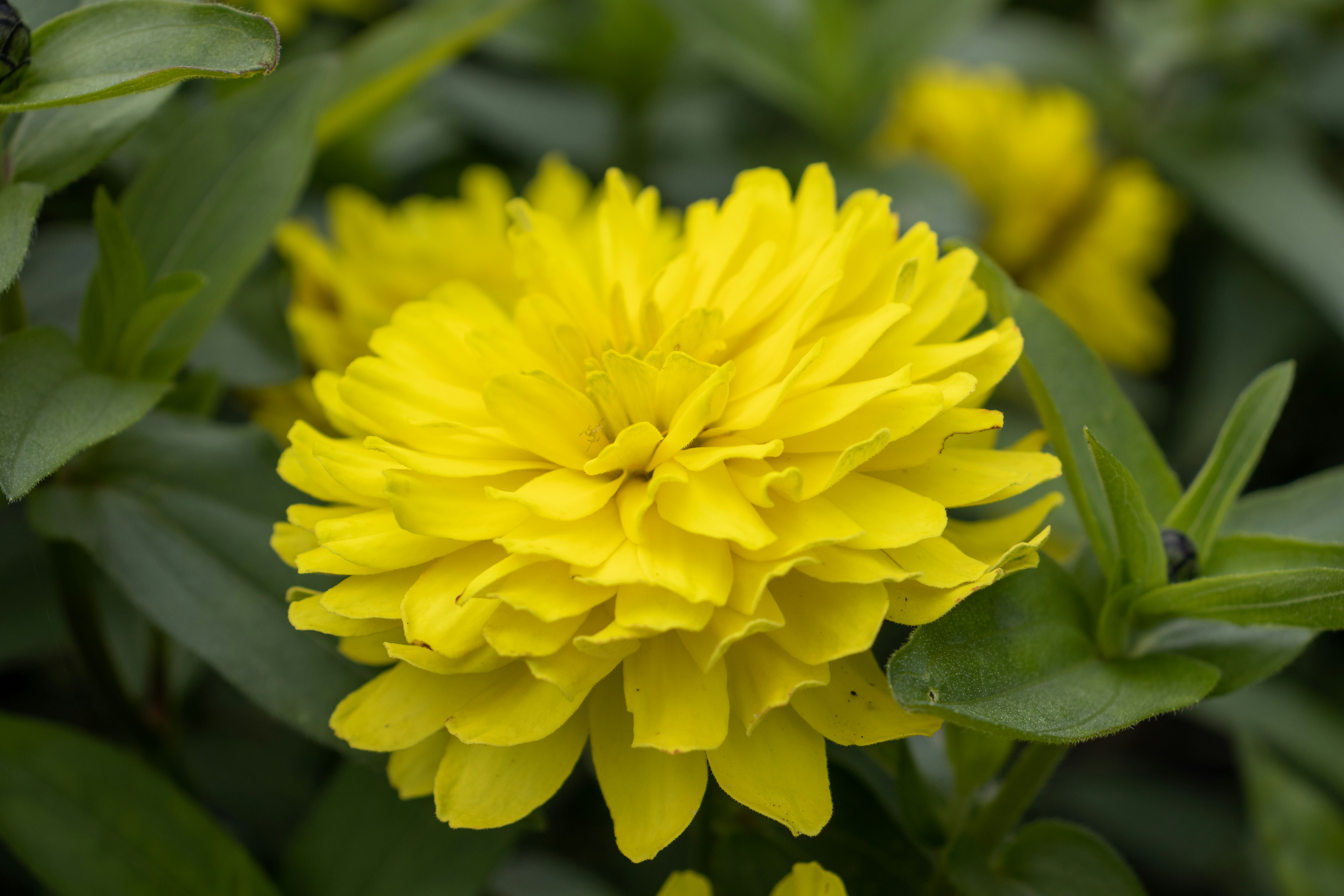 Photo by pokornymichal