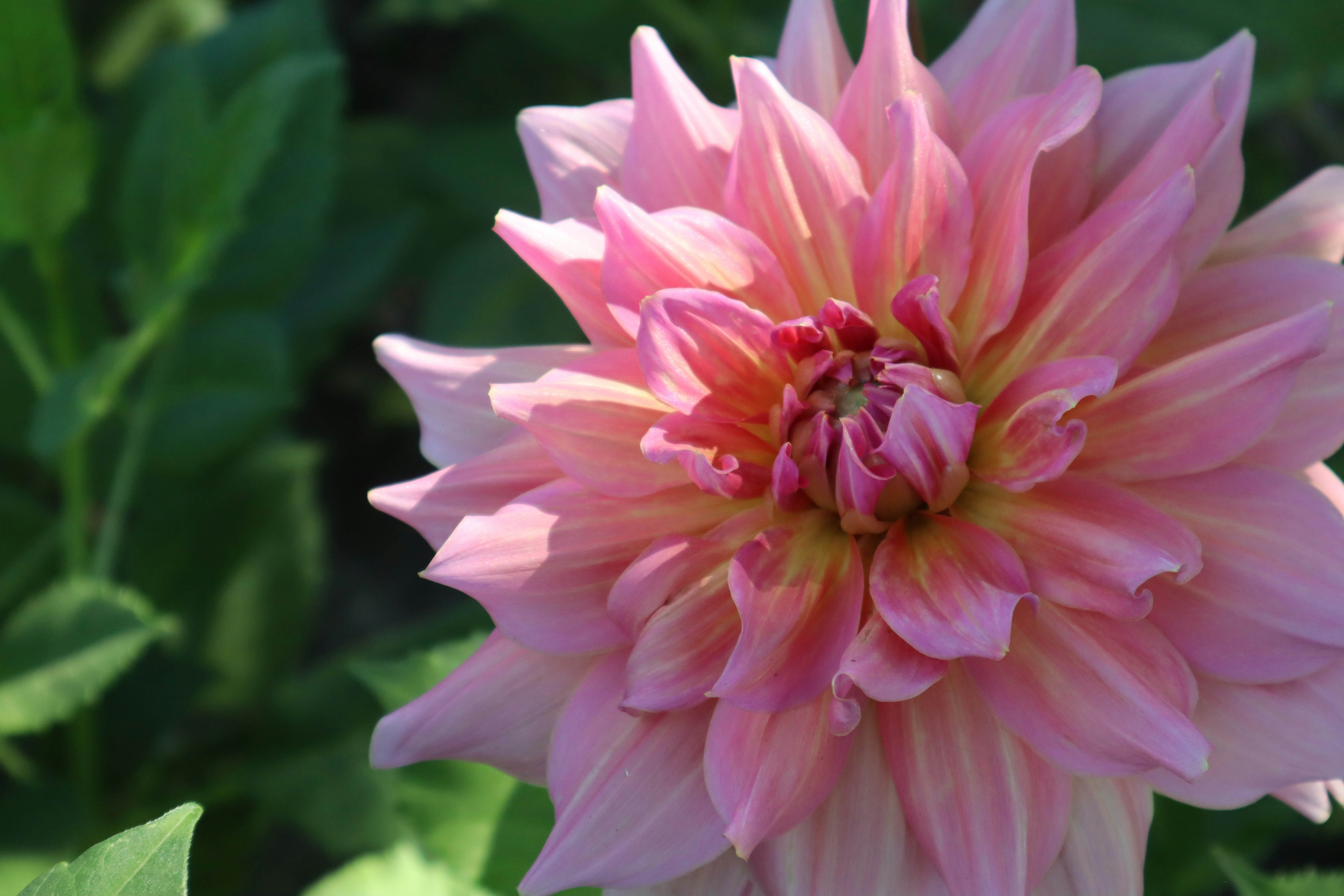 Photo by taylaktictac