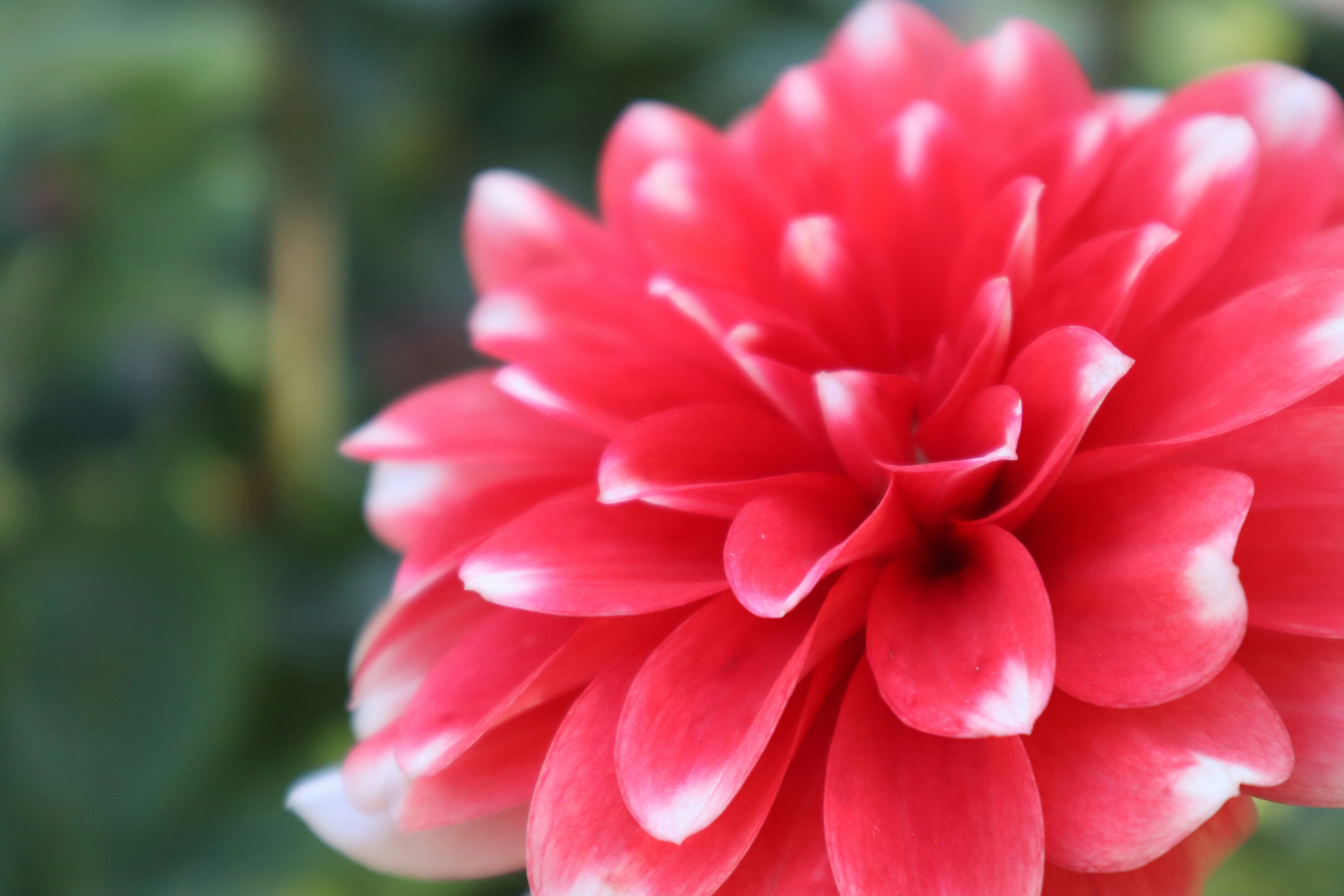 Photo by taylaktictac