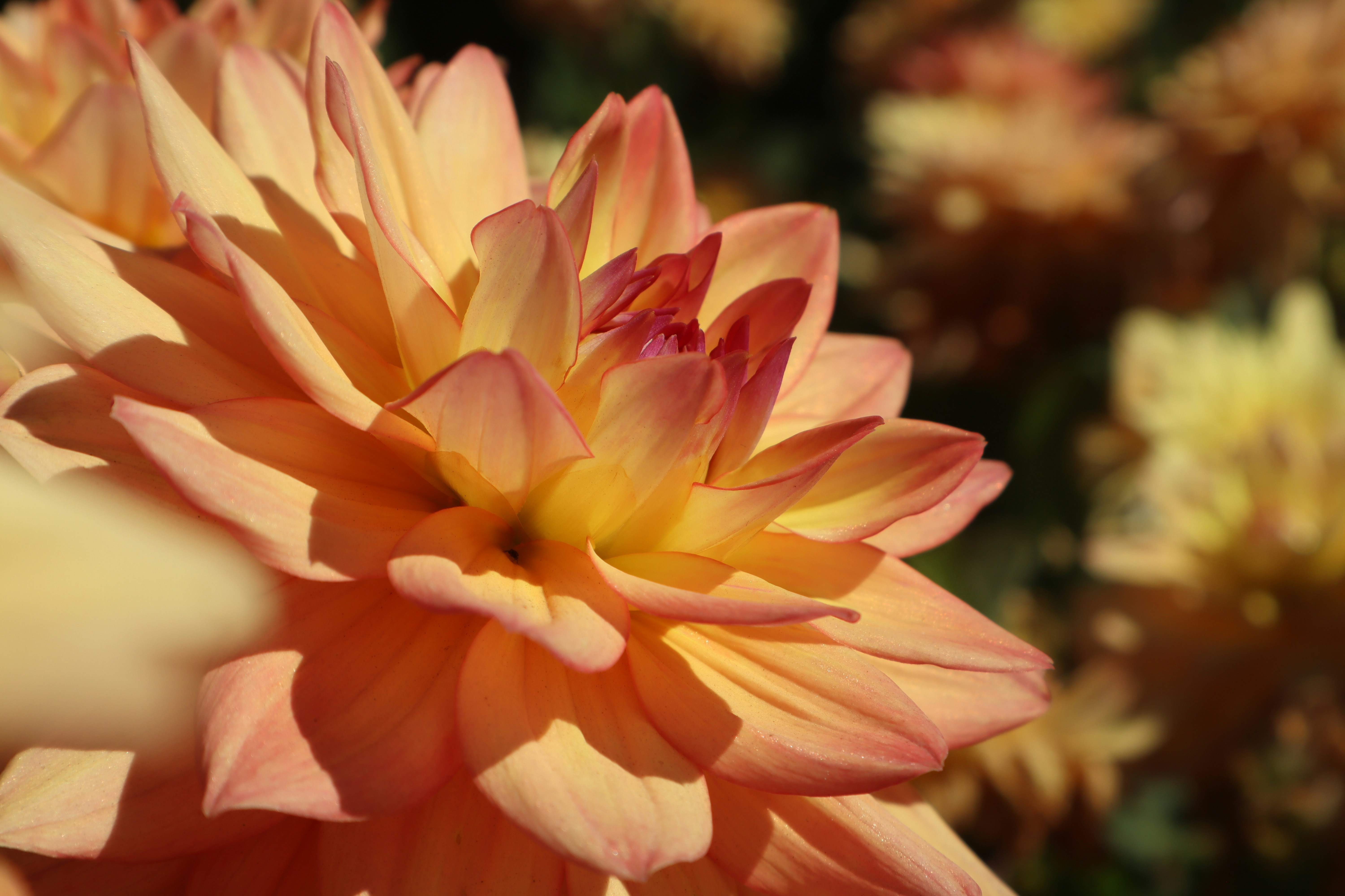 Photo by taylaktictac