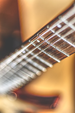 A close-up of guitar strings and fretboard highlighting intricate details.