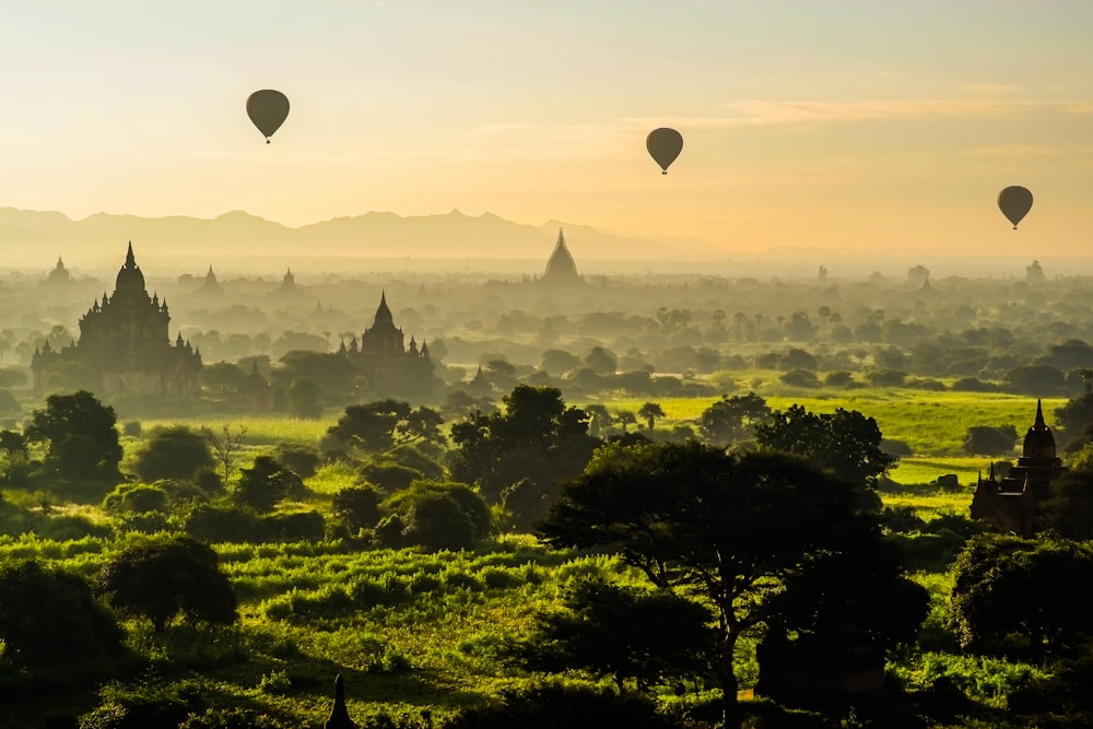 Un grupo de globos aerostáticos en el cielo