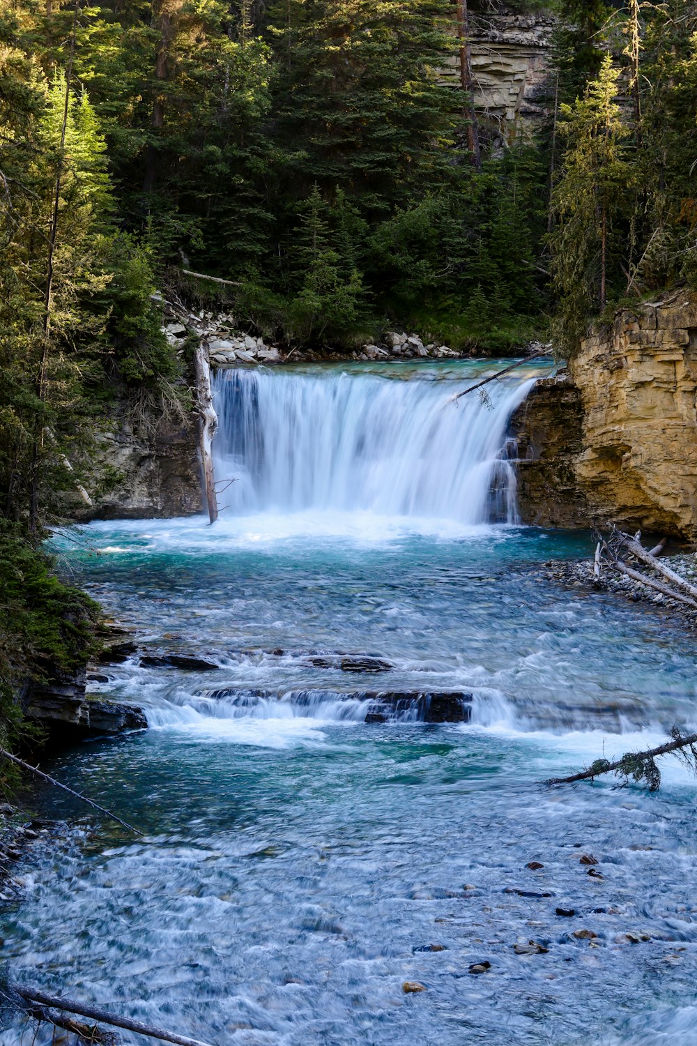 a waterfall in a forest