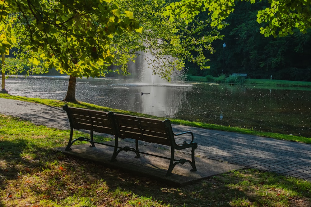 a bench sits in front of a pond