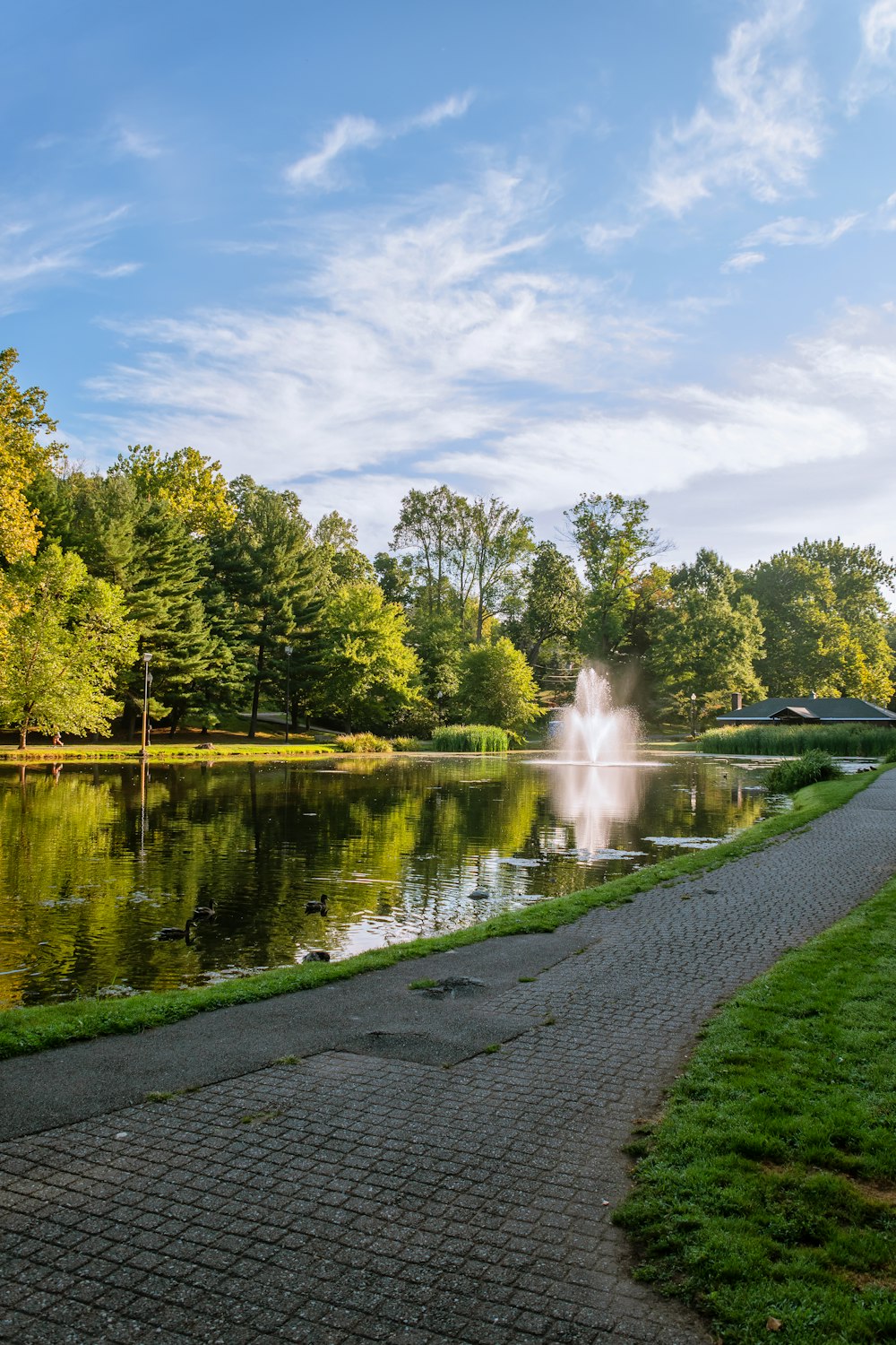 a pond with a fountain in it