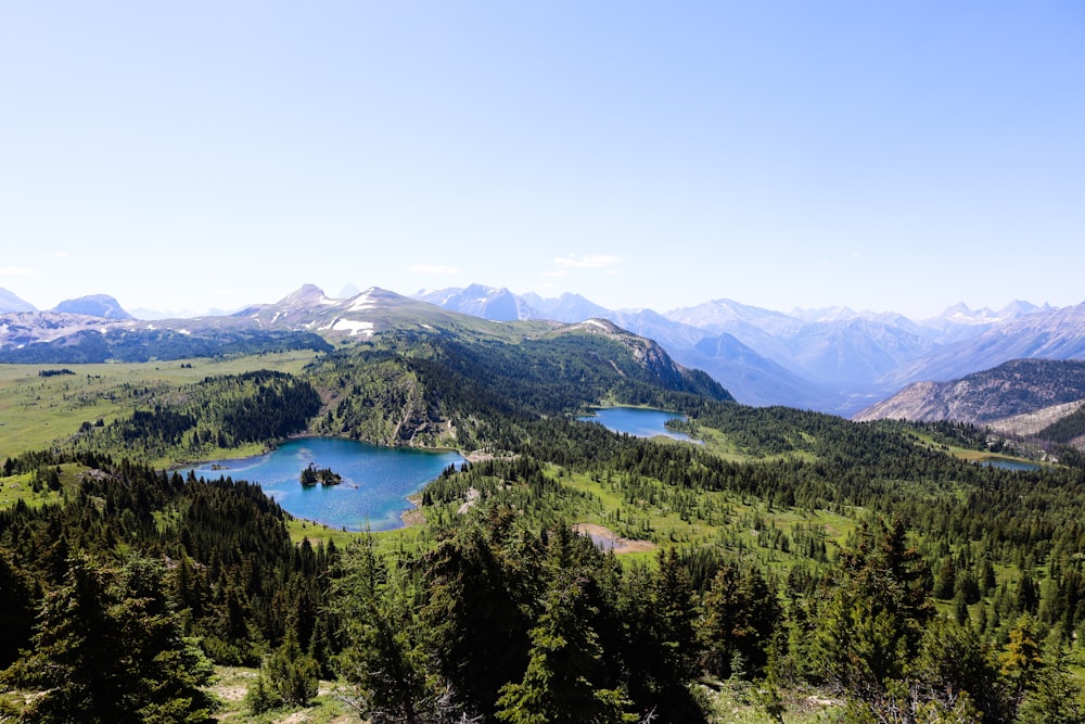 a lake surrounded by trees and mountains