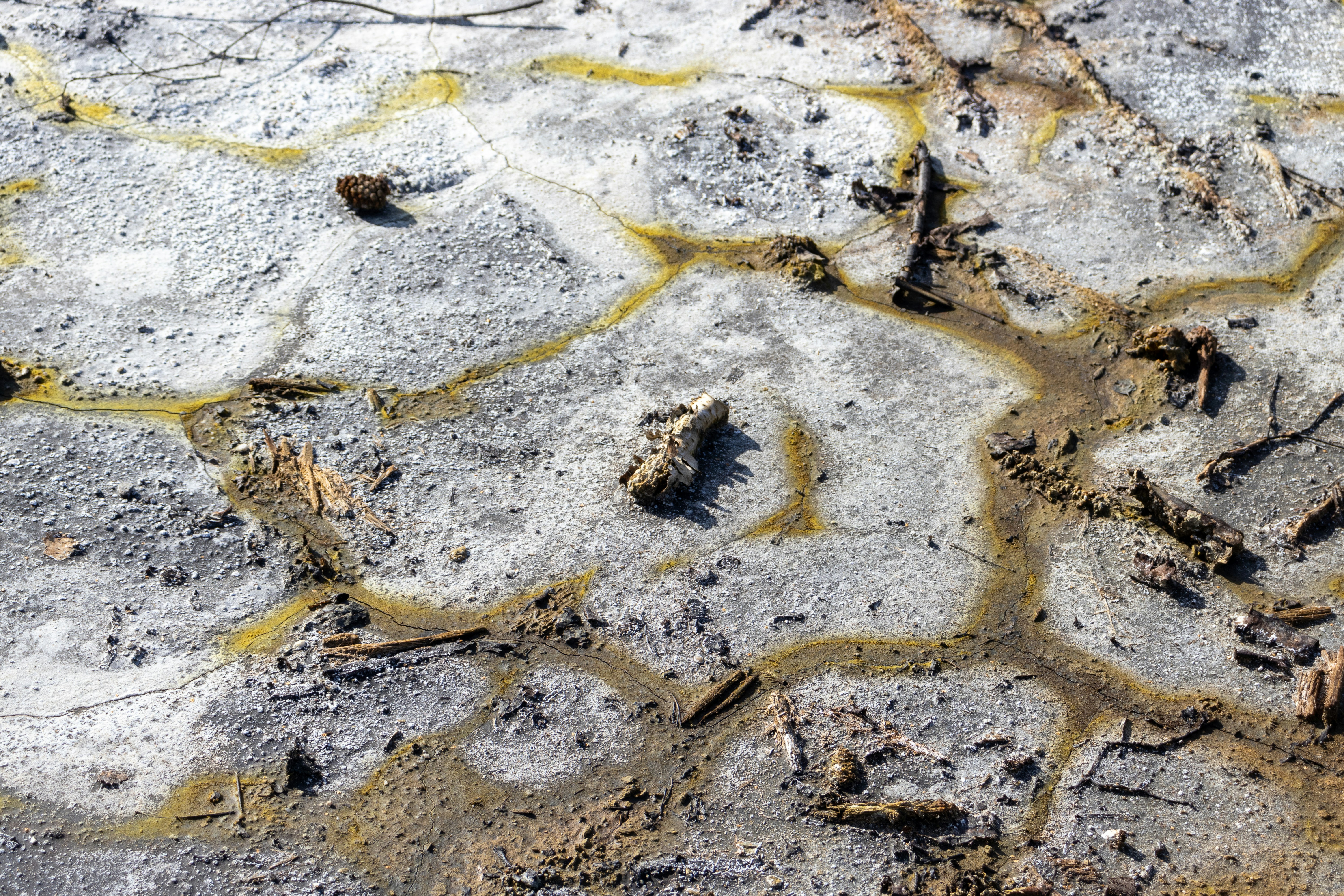 Photo by pokornymichal