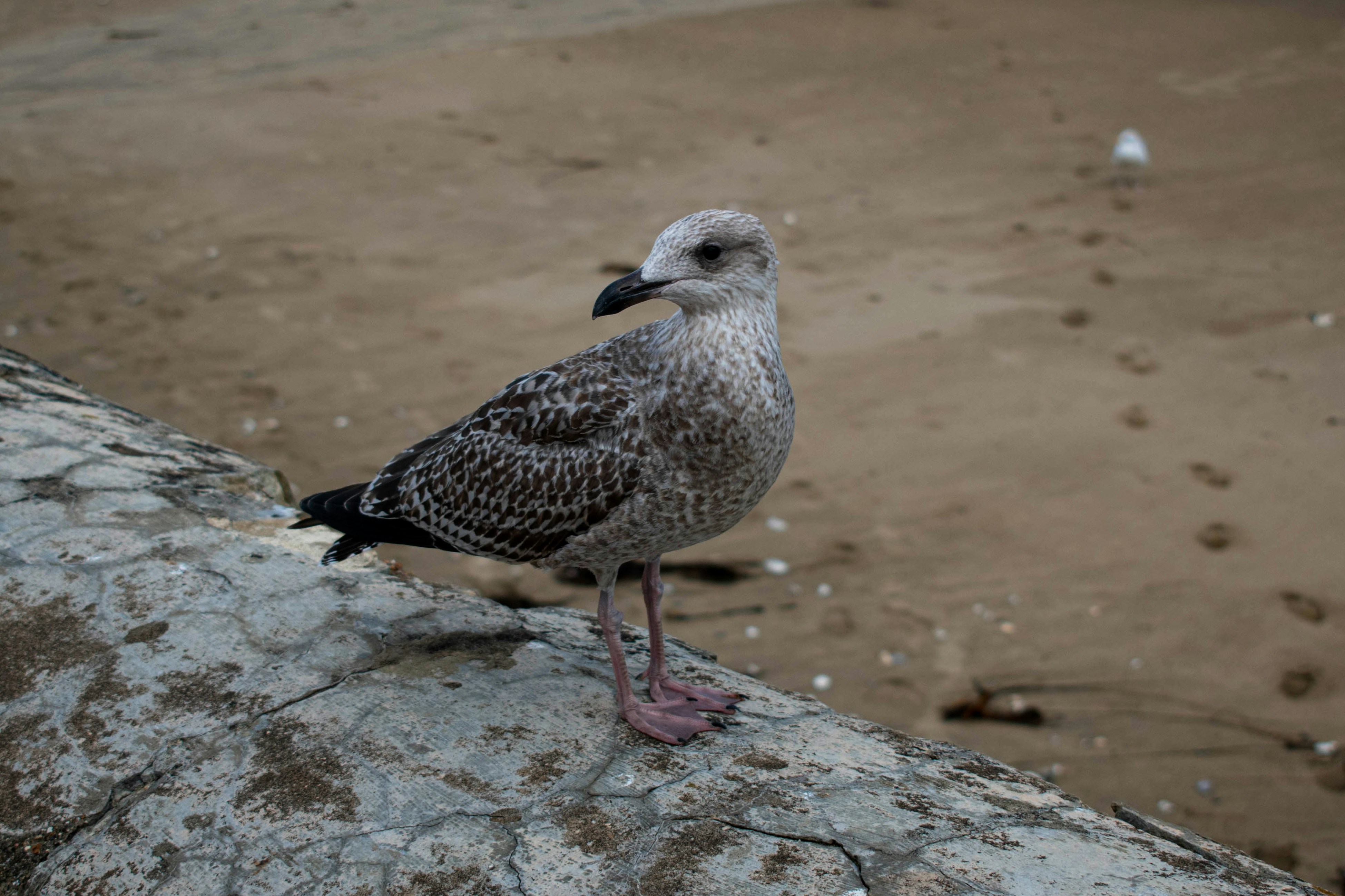 Photo by infinitecreations21