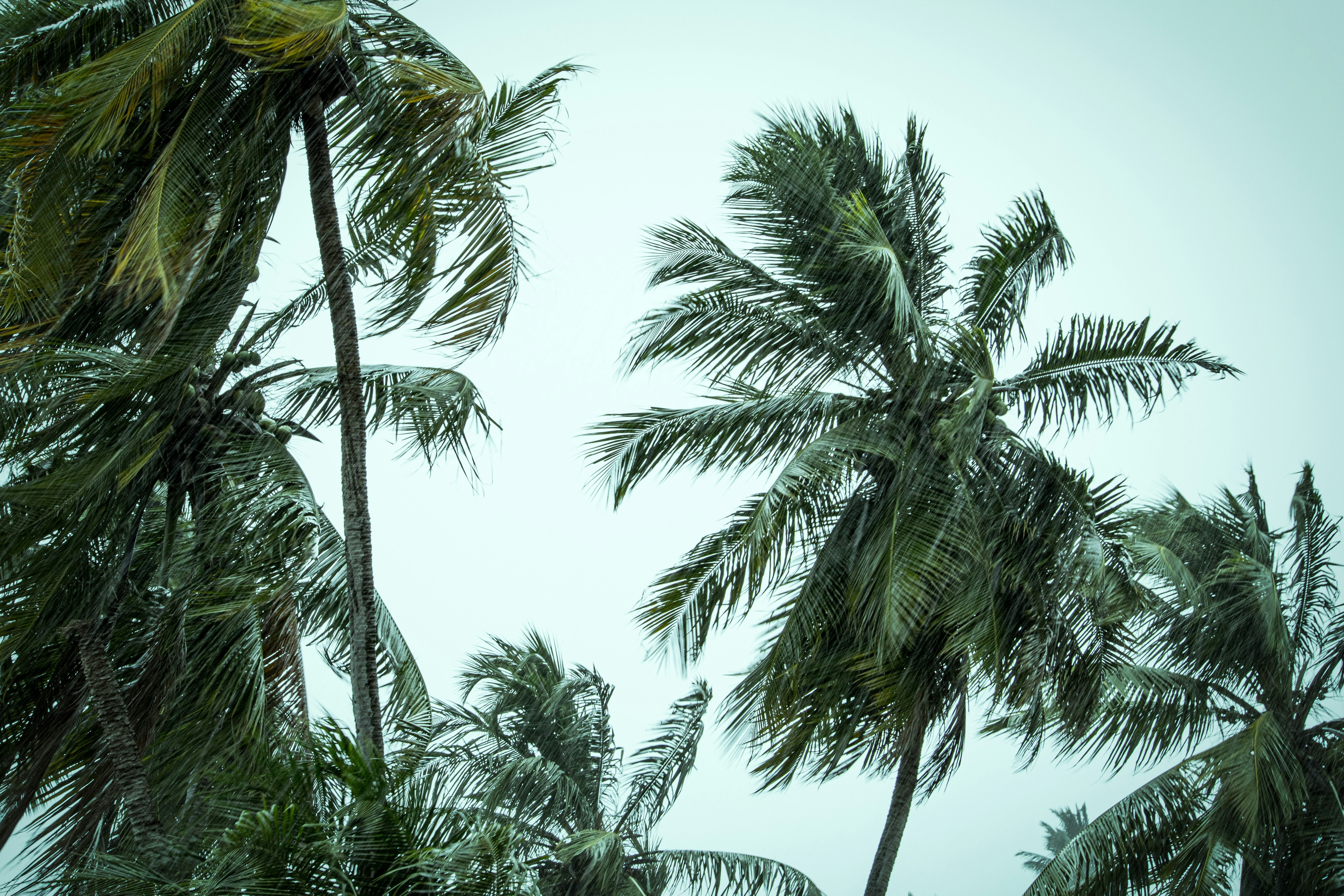 Prayers & Support for Tropical Storm Melissa - Stay Safe