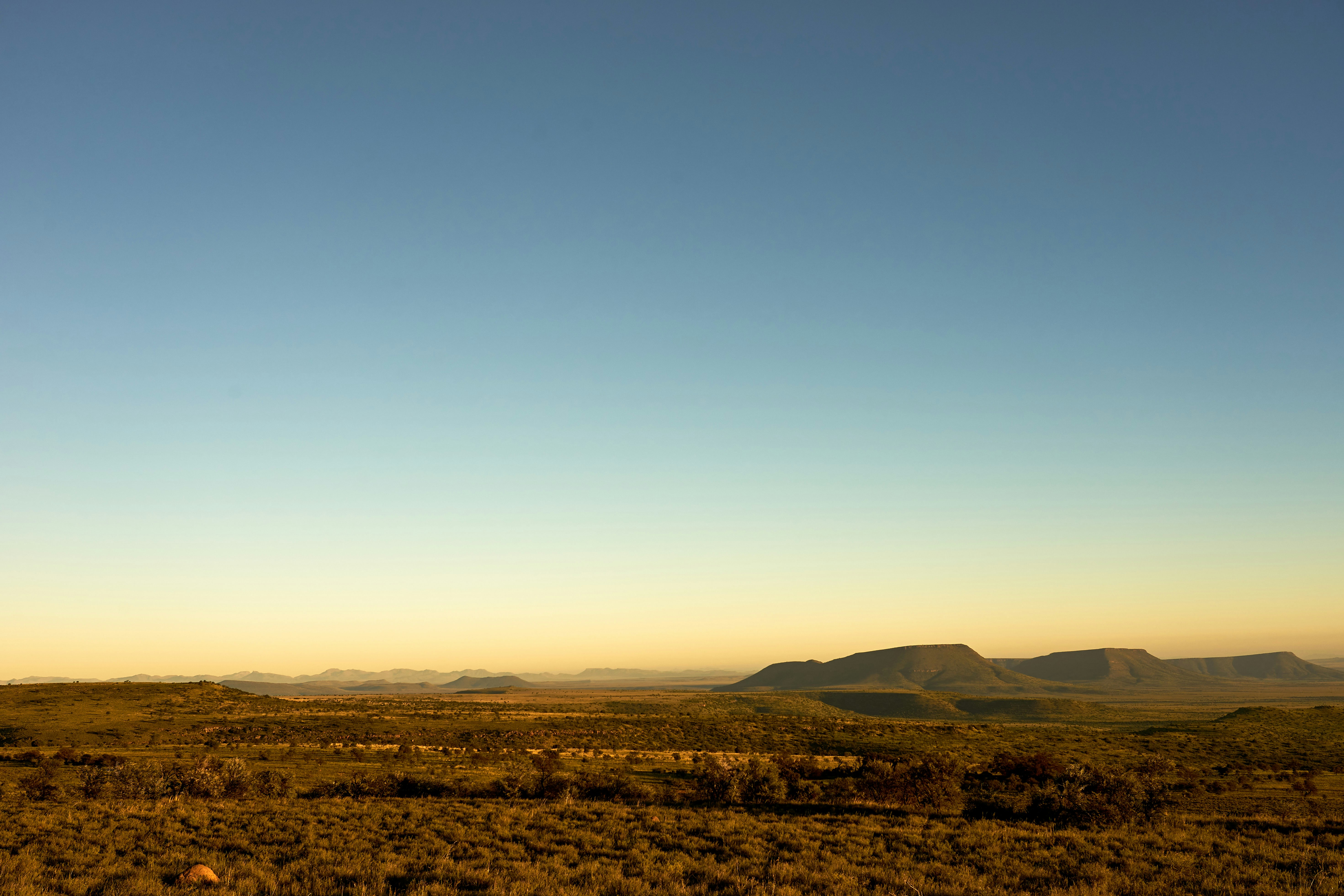 Photo by wolfgang_hasselmann