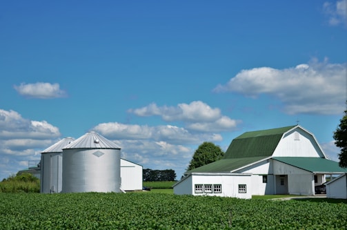 a group of white buildings