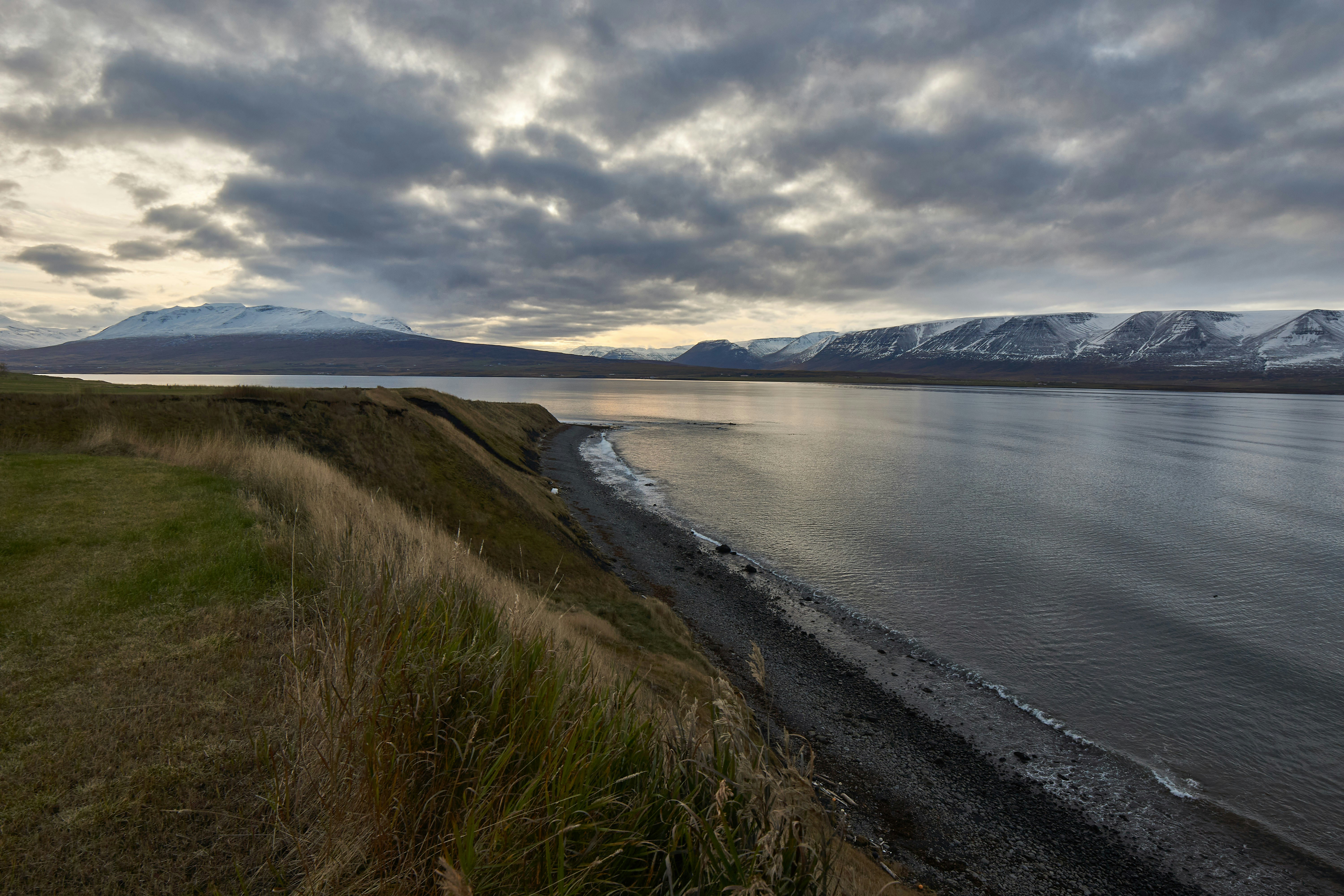 Photo by wolfgang_hasselmann