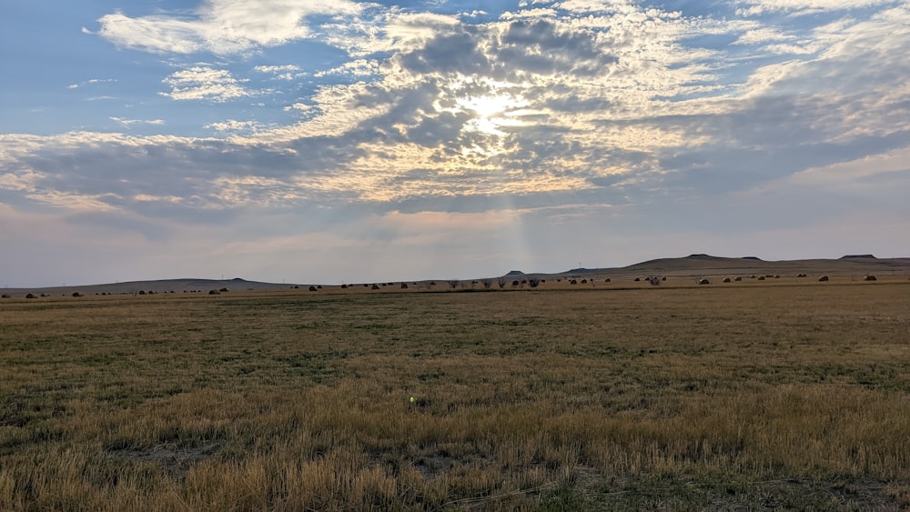 a large open field with a few buildings in the distance