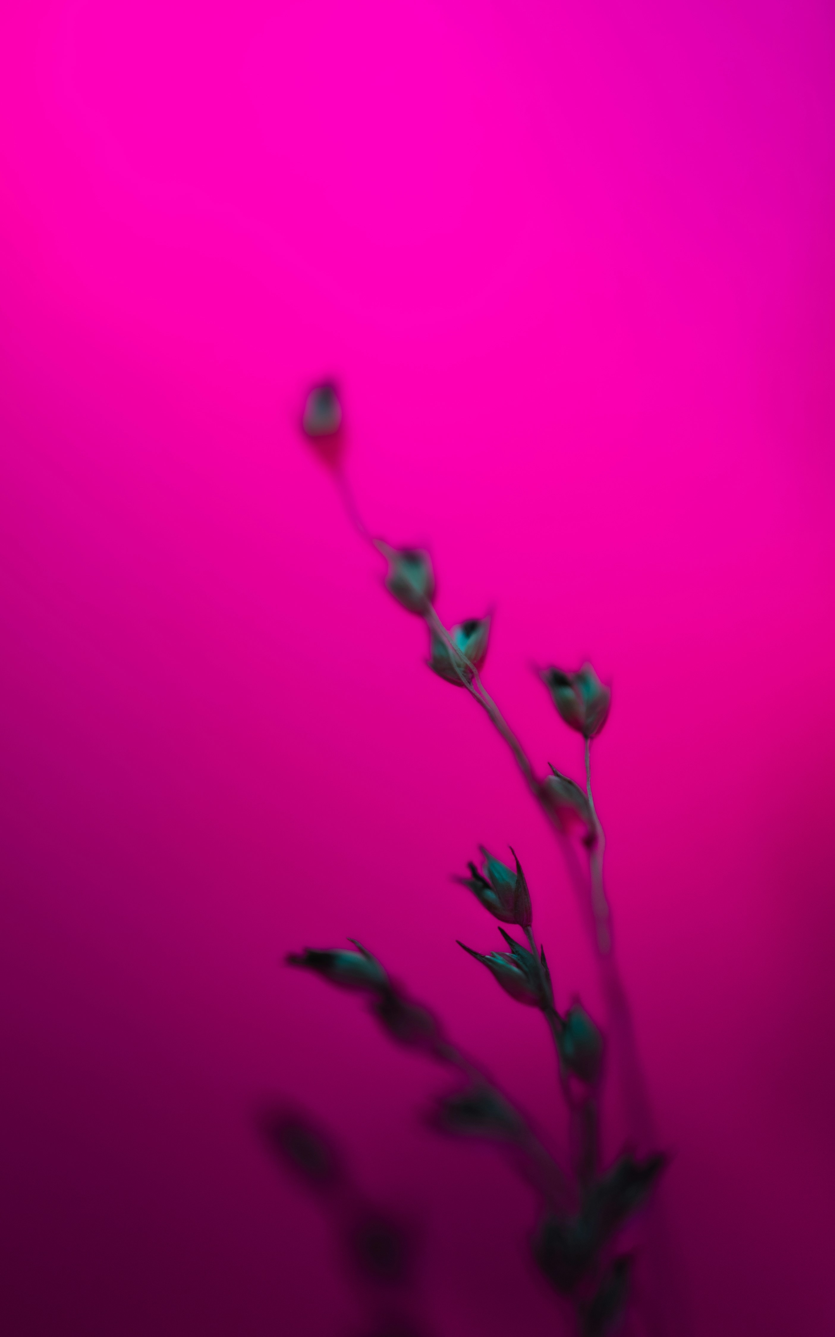 Photo by marekpiwnicki