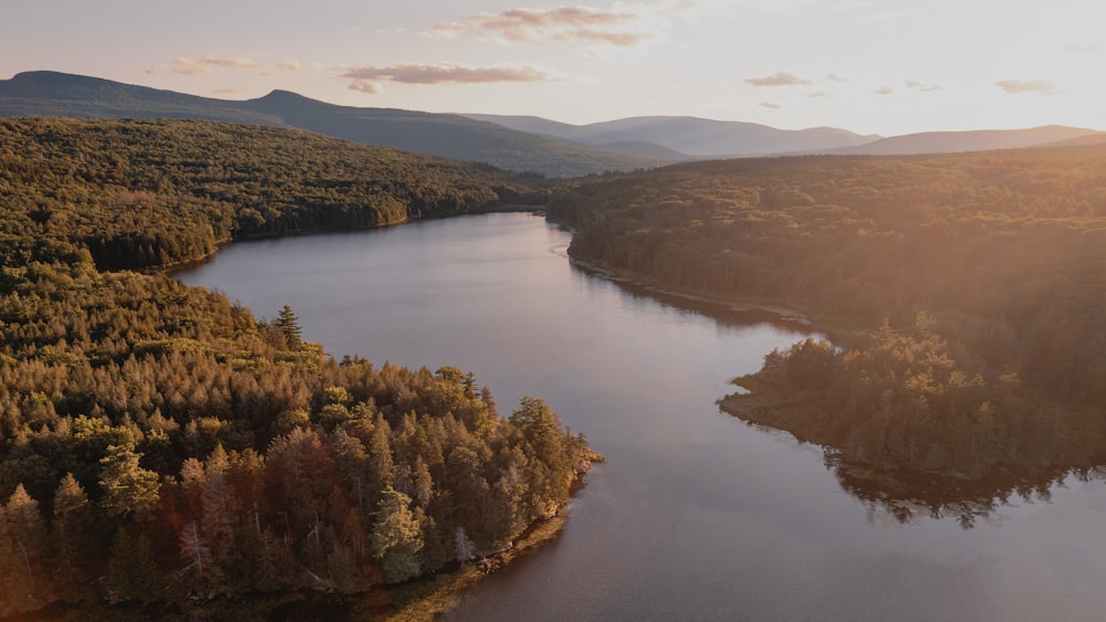 a river with trees and hills around it