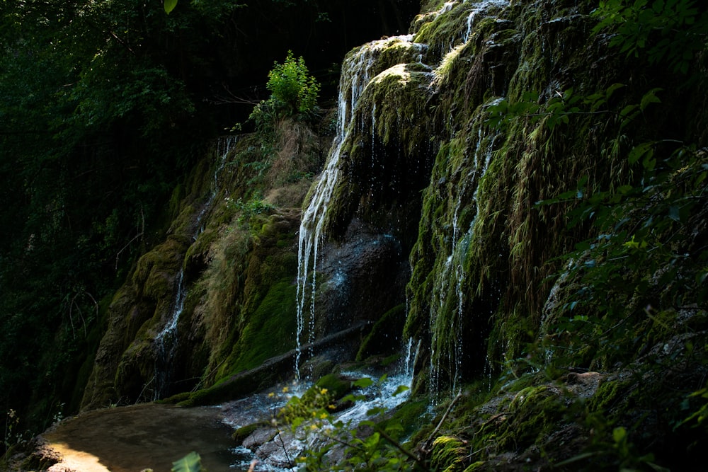 a waterfall in a forest