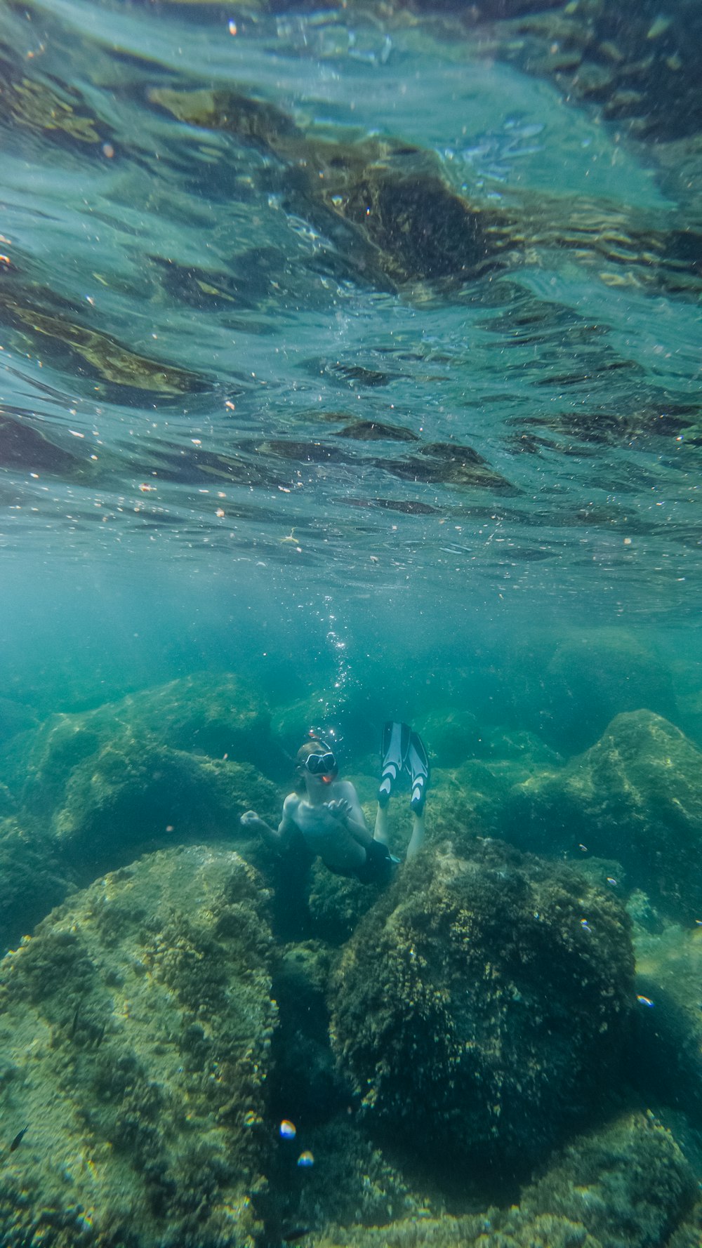 a group of people swimming in the water