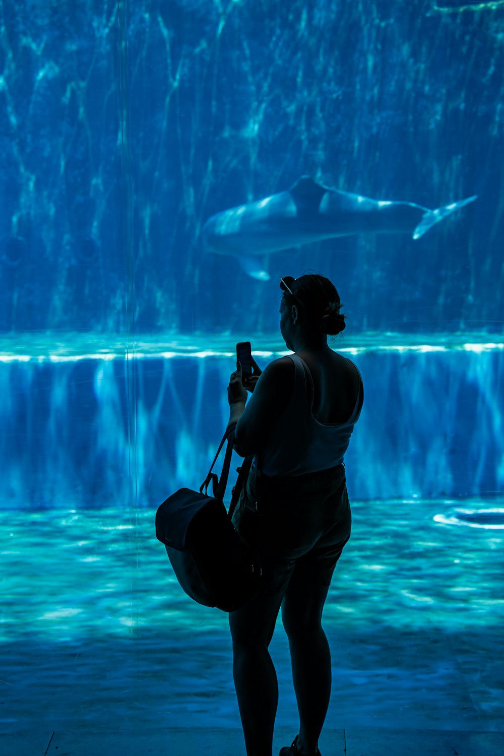 Una persona parada frente a un gran acuario