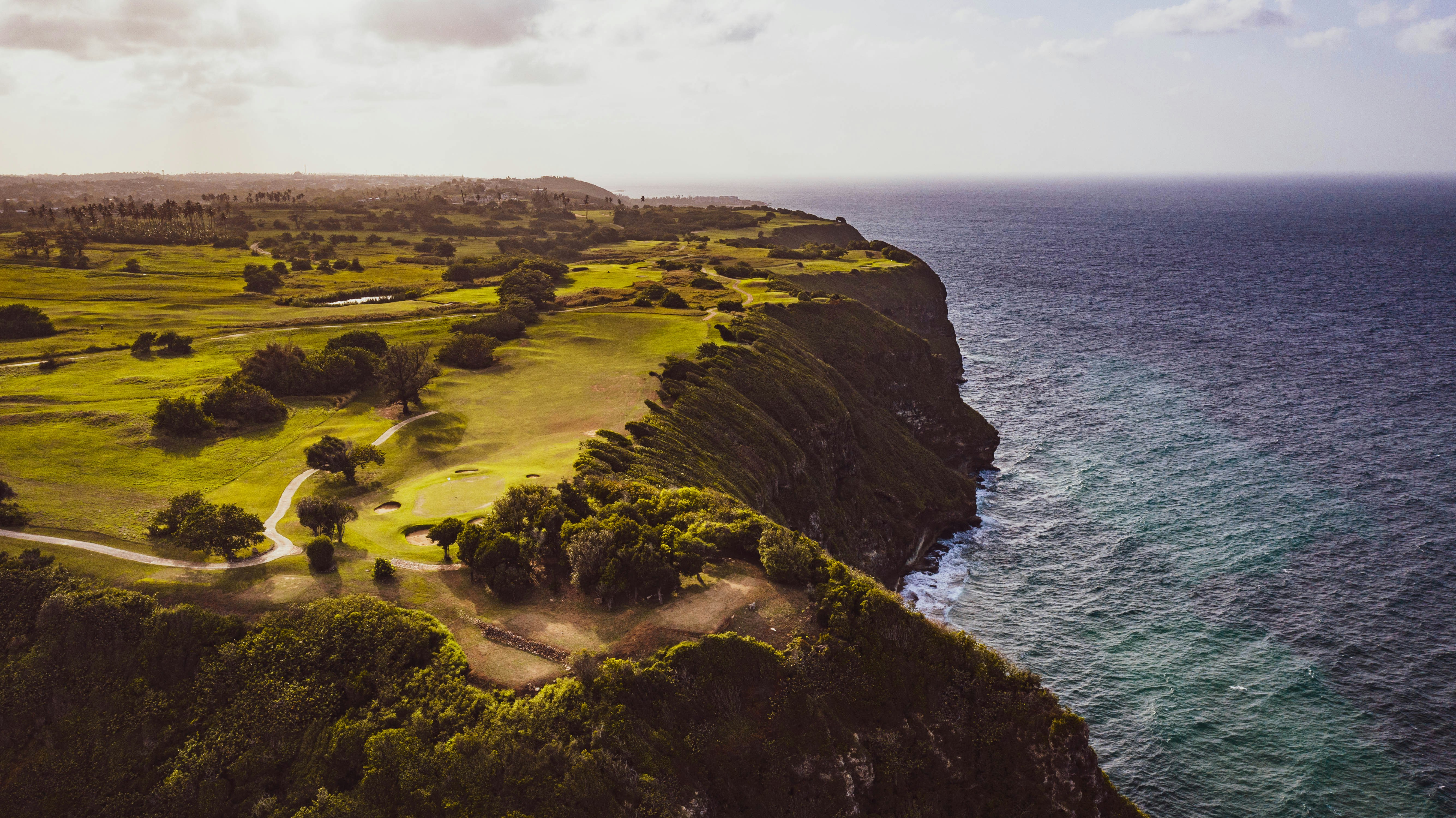 a landscape with trees and water with Cliffs of Moher in the background