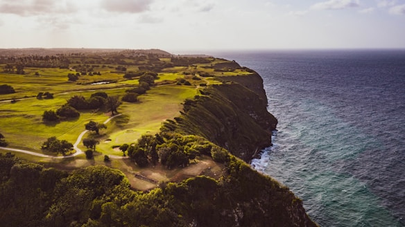 A picturesque aerial view of a lush green golf course situated along a dramatic cliffside, with the ocean extending into the horizon. The scene is complemented by scattered trees and a winding path that leads to the edge of the cliff, creating a tranquil and expansive landscape.