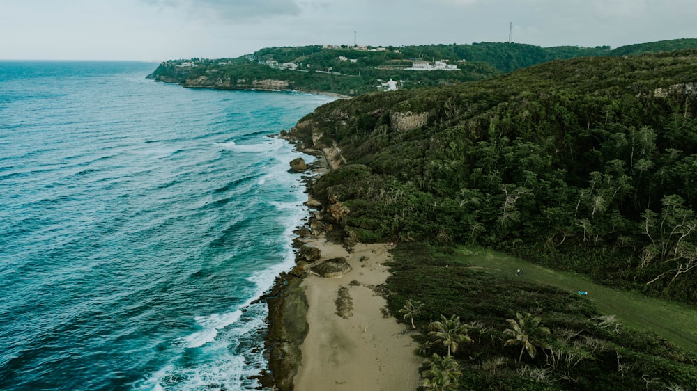 a beach with trees and a body of water by it