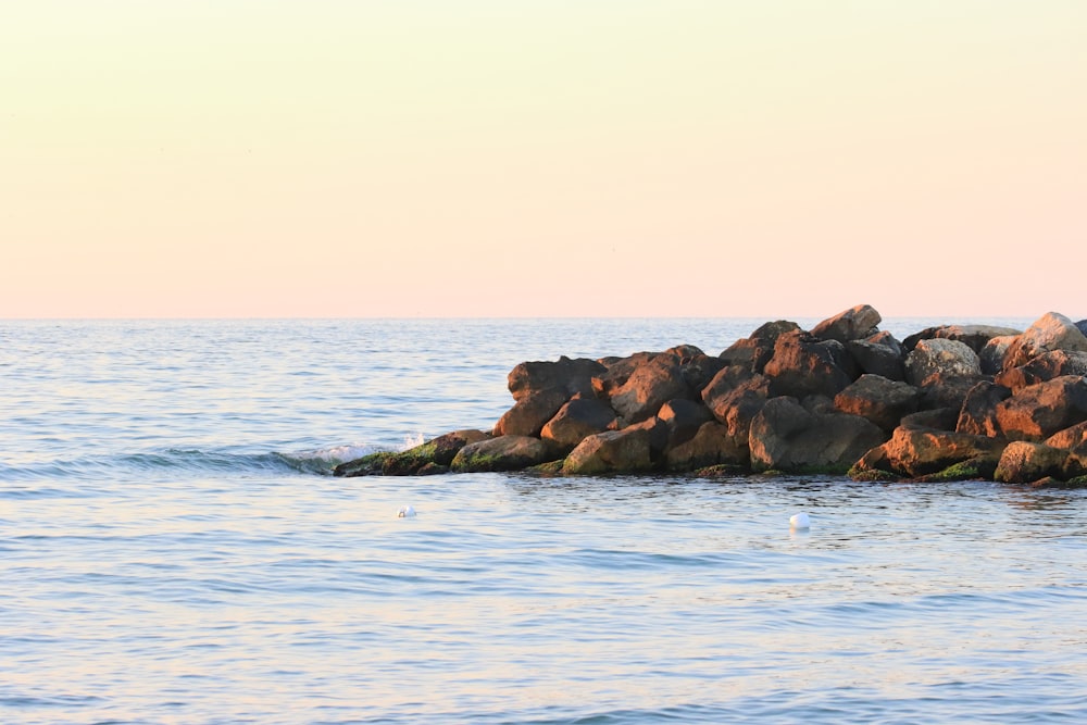 a group of rocks in the water