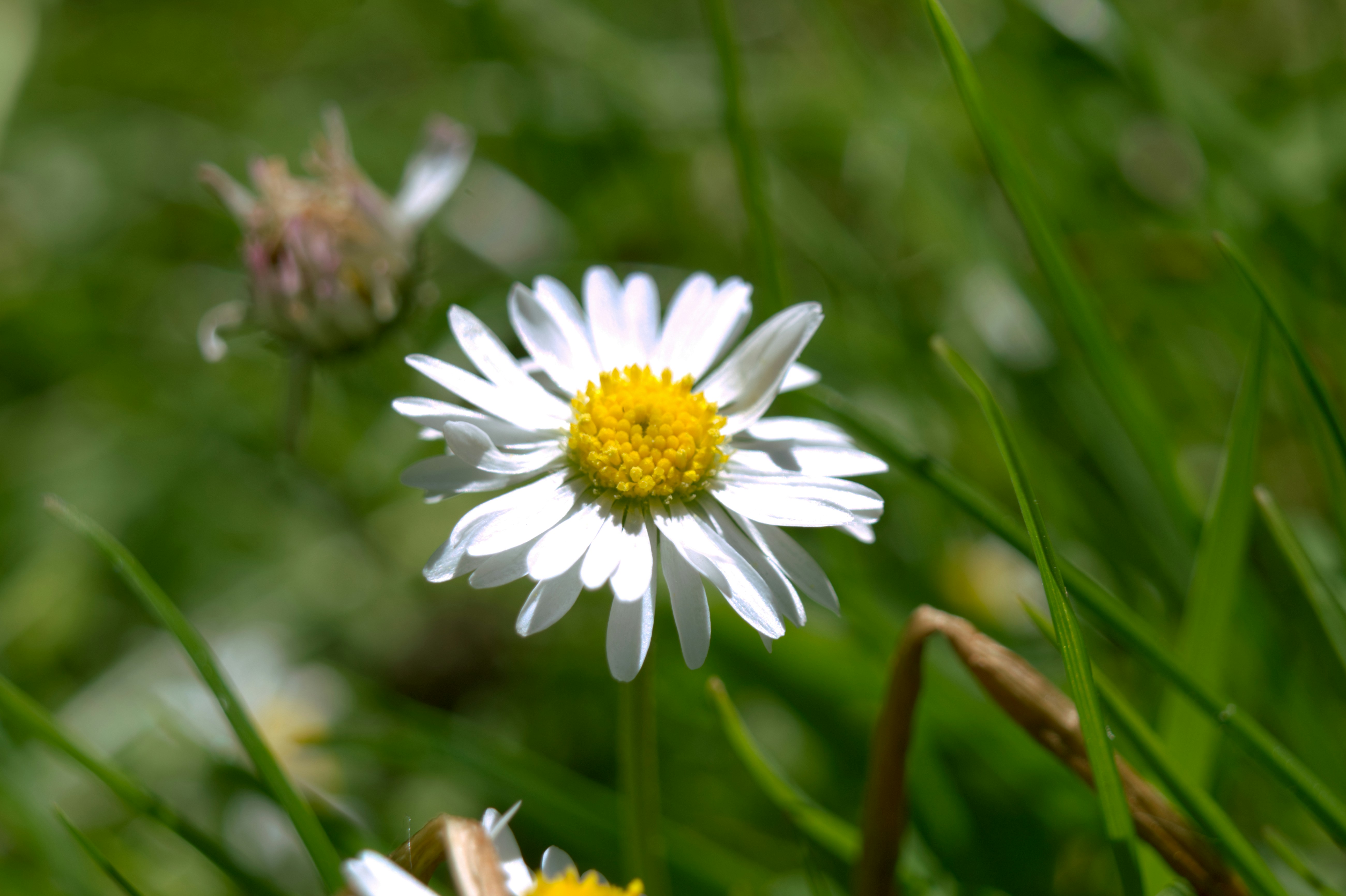 Photo by fidgetingferdie