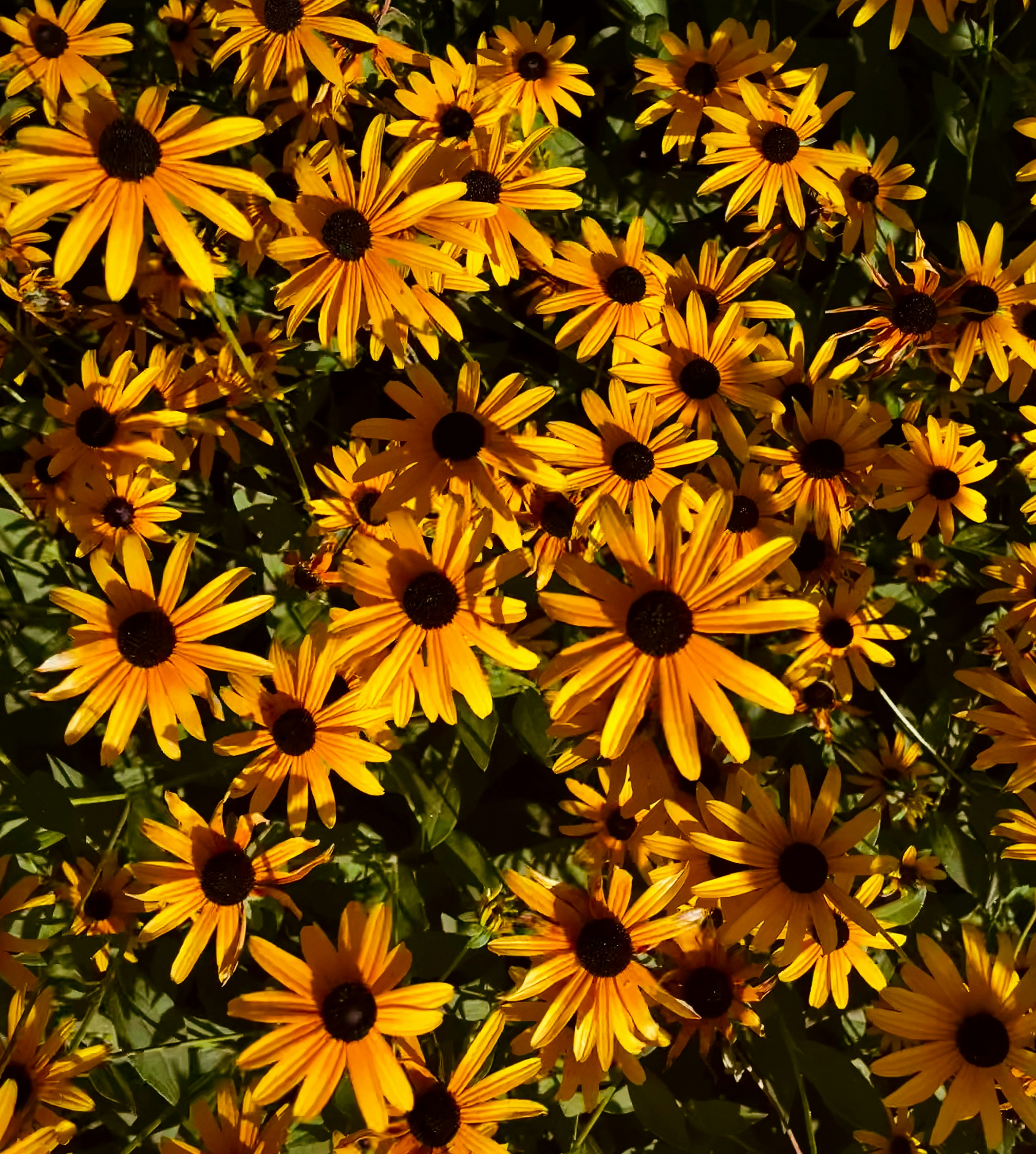 Photo by helen_zahrai