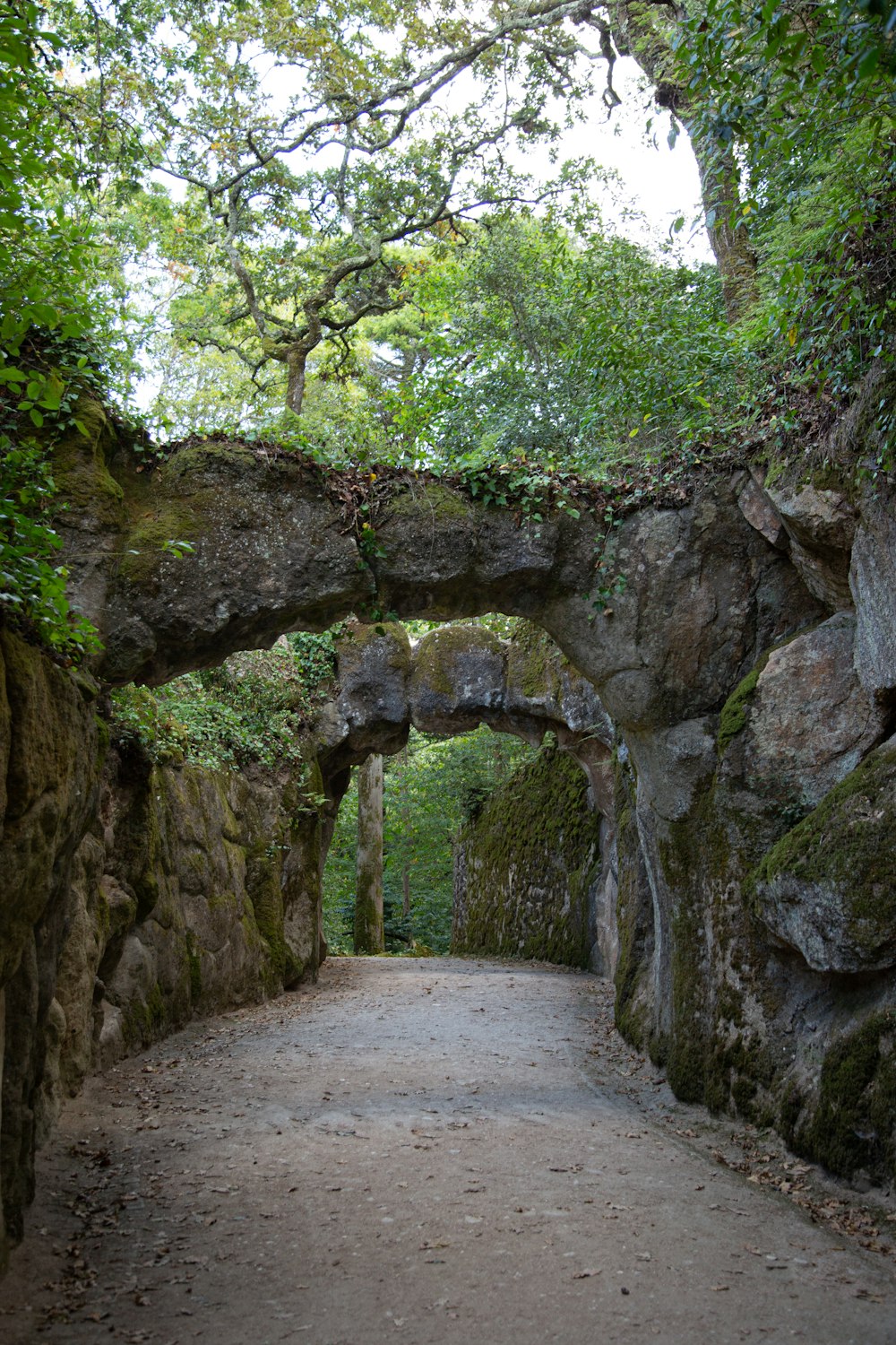 a stone tunnel in a forest