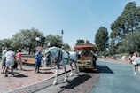 A horse-drawn carriage is moving along a brick pathway in a park-like setting. The carriage has a red and green color scheme with the word 'Disneyland' visible on its side. People are walking around, some dressed in casual summer attire. There are trees and benches in the background, and the sky is clear and blue.