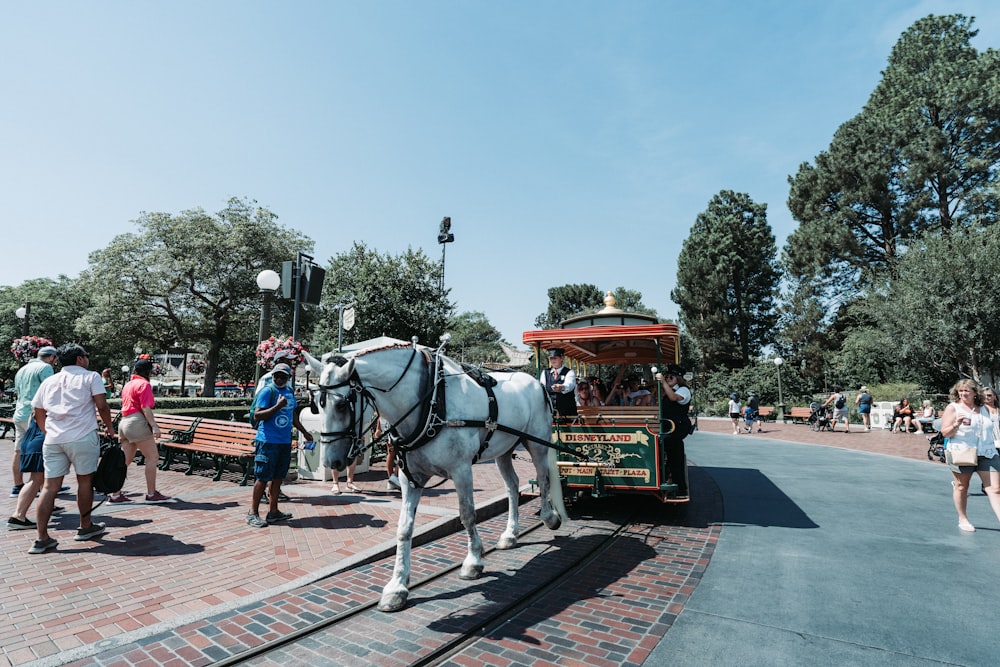 a horse pulling a carriage