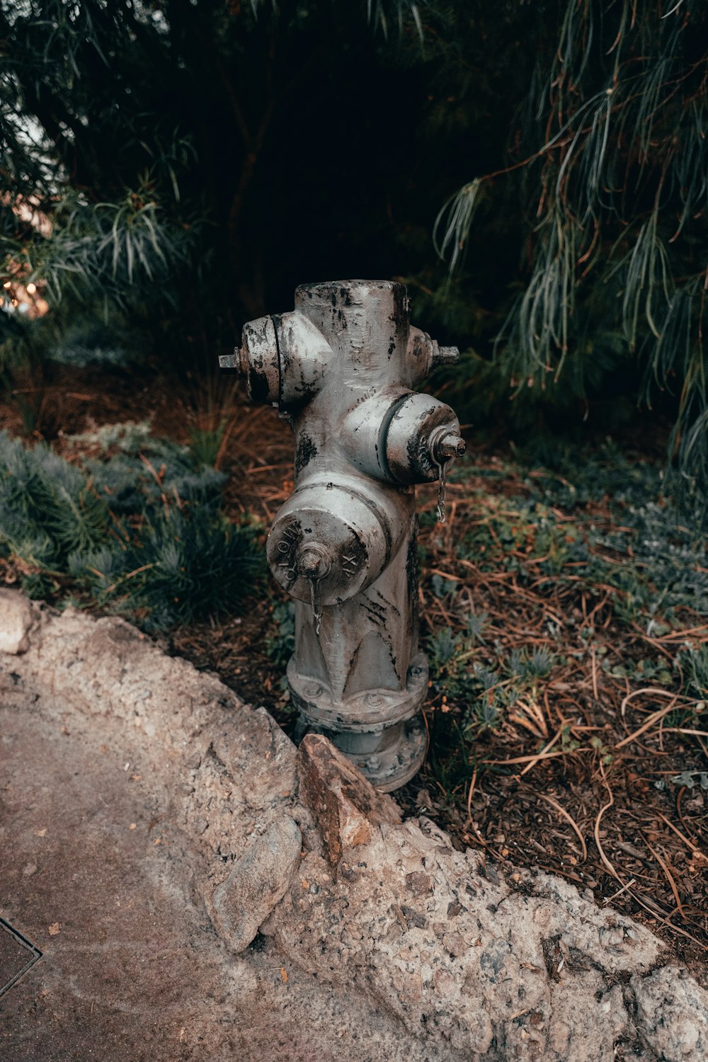 a fire hydrant on the ground
