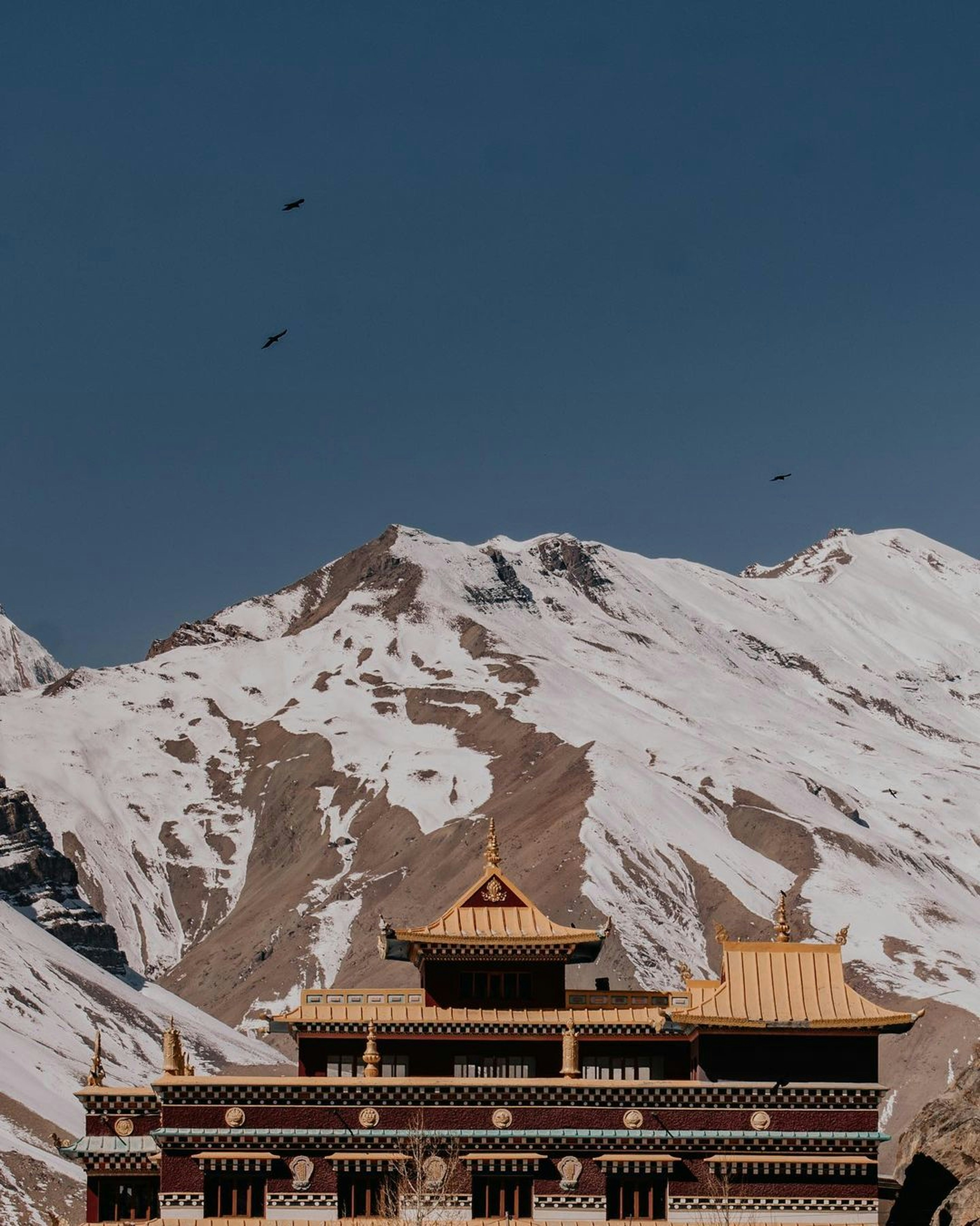 Photo by pramodtiwari