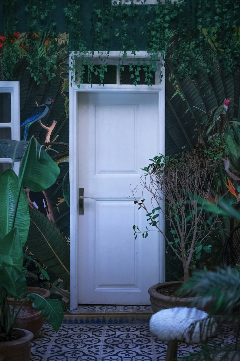 a white door in a garden