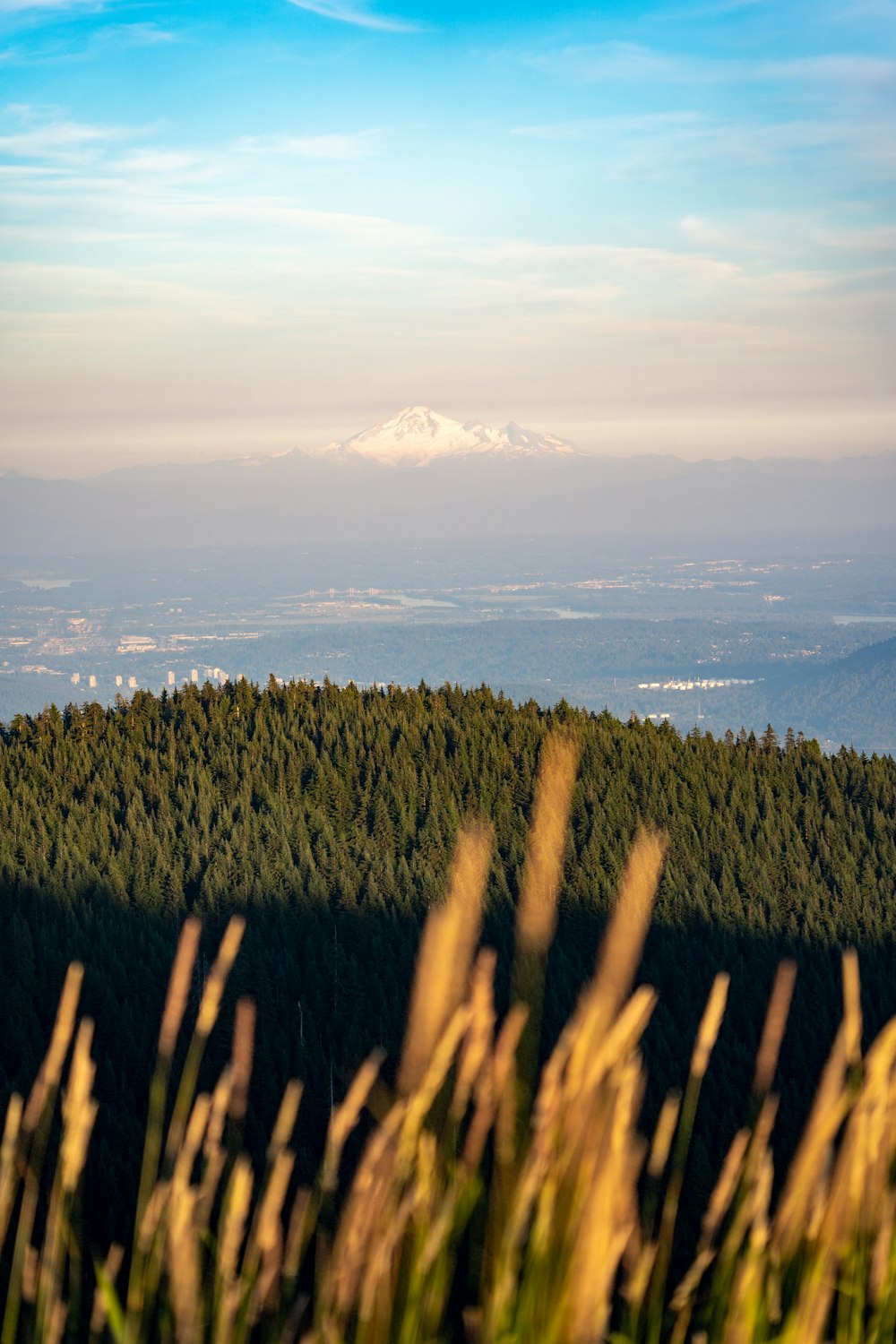 a mountain in the distance