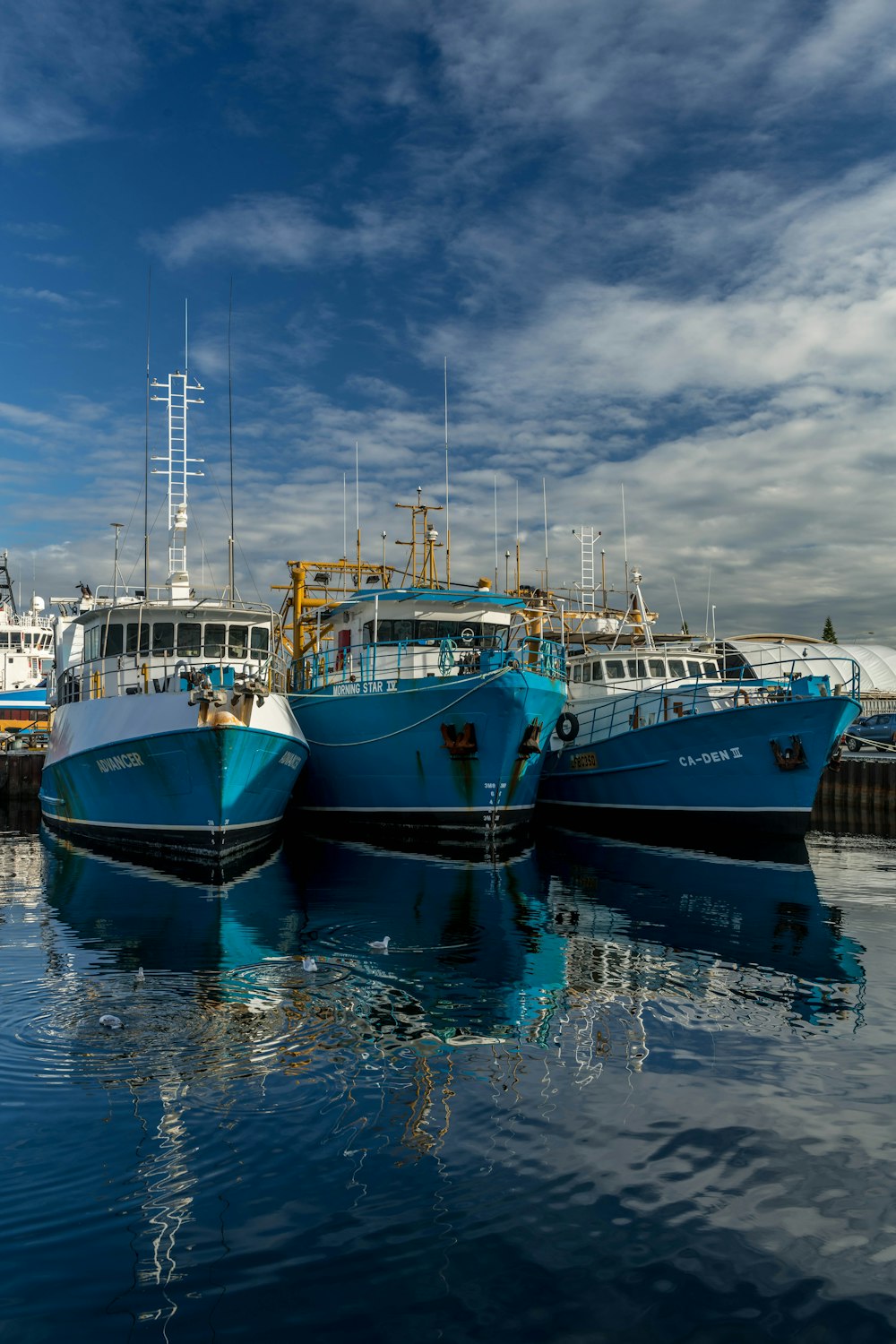 several boats docked at a pier