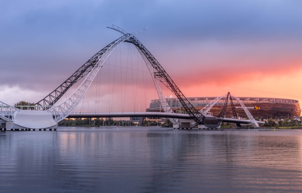 a roller coaster by a body of water