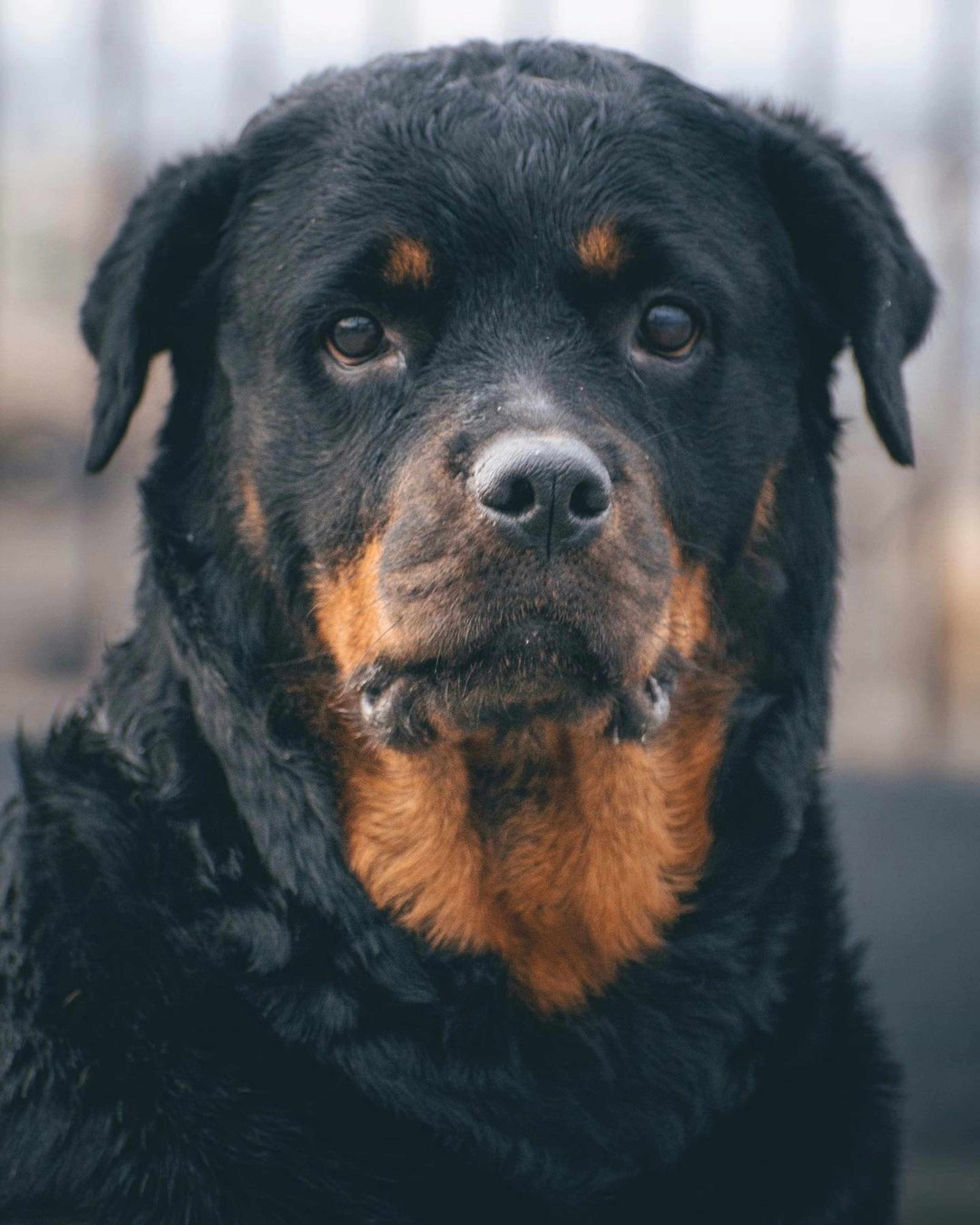 Photo by pramodtiwari