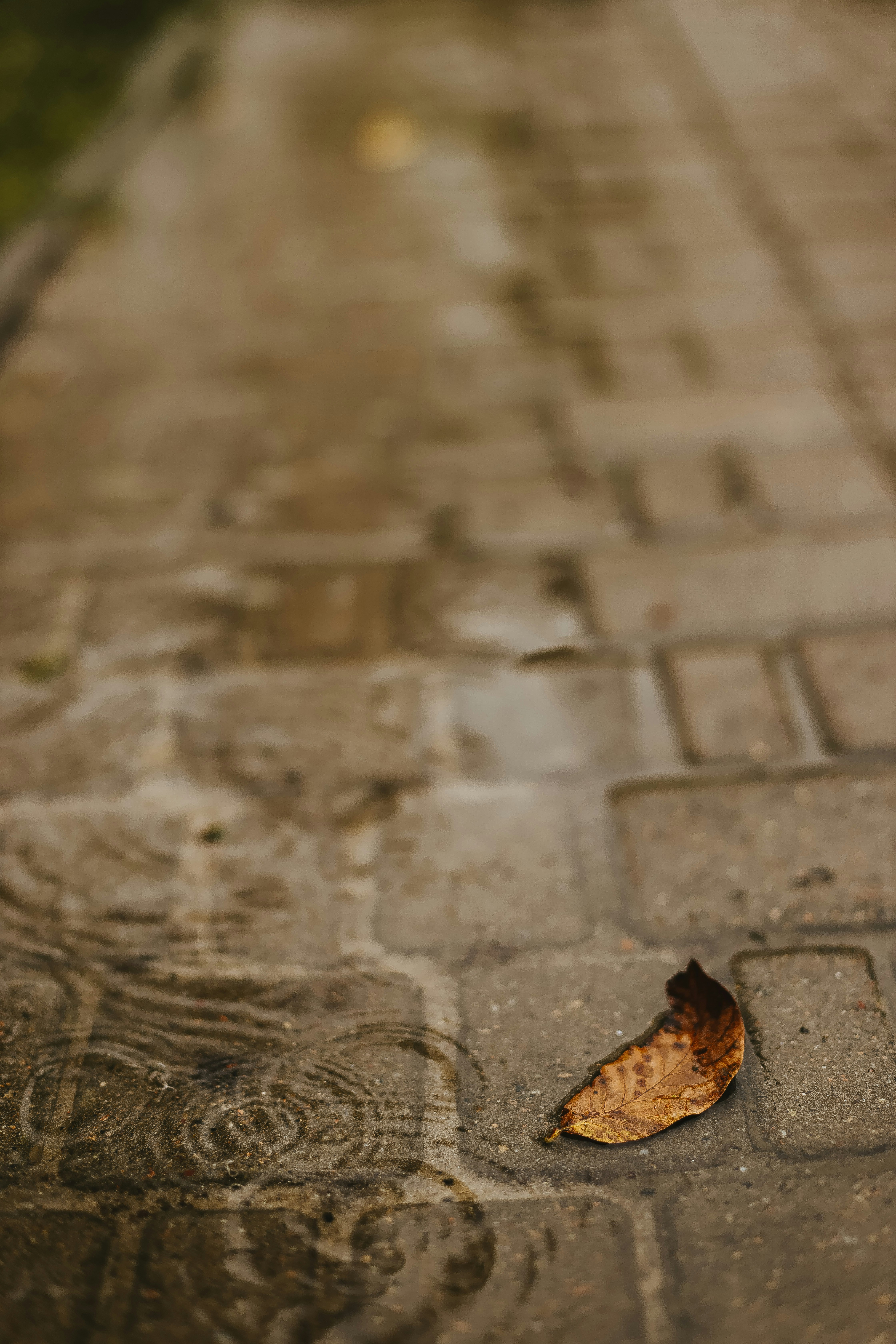 Photo by whynotnatali