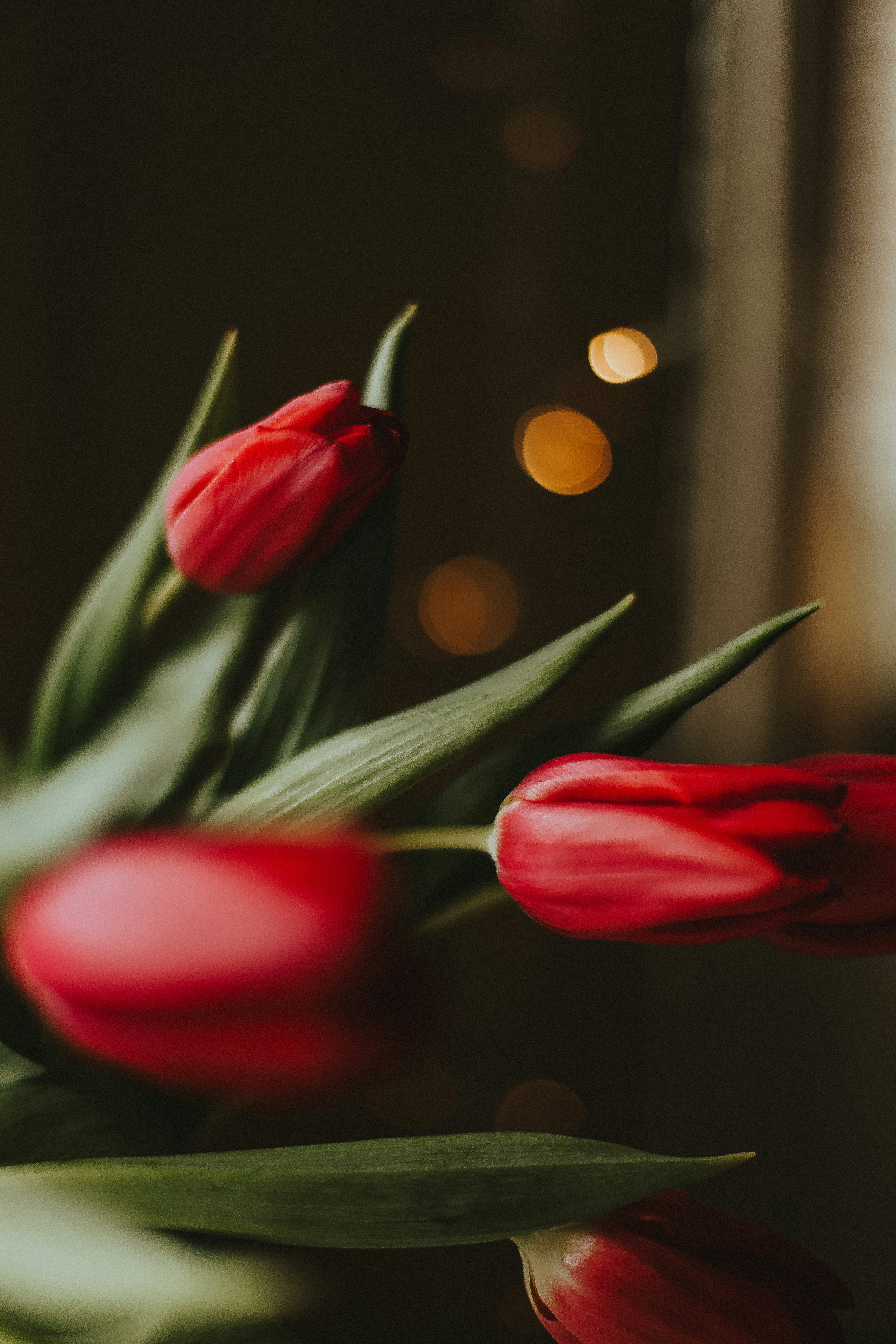 Photo by whynotnatali