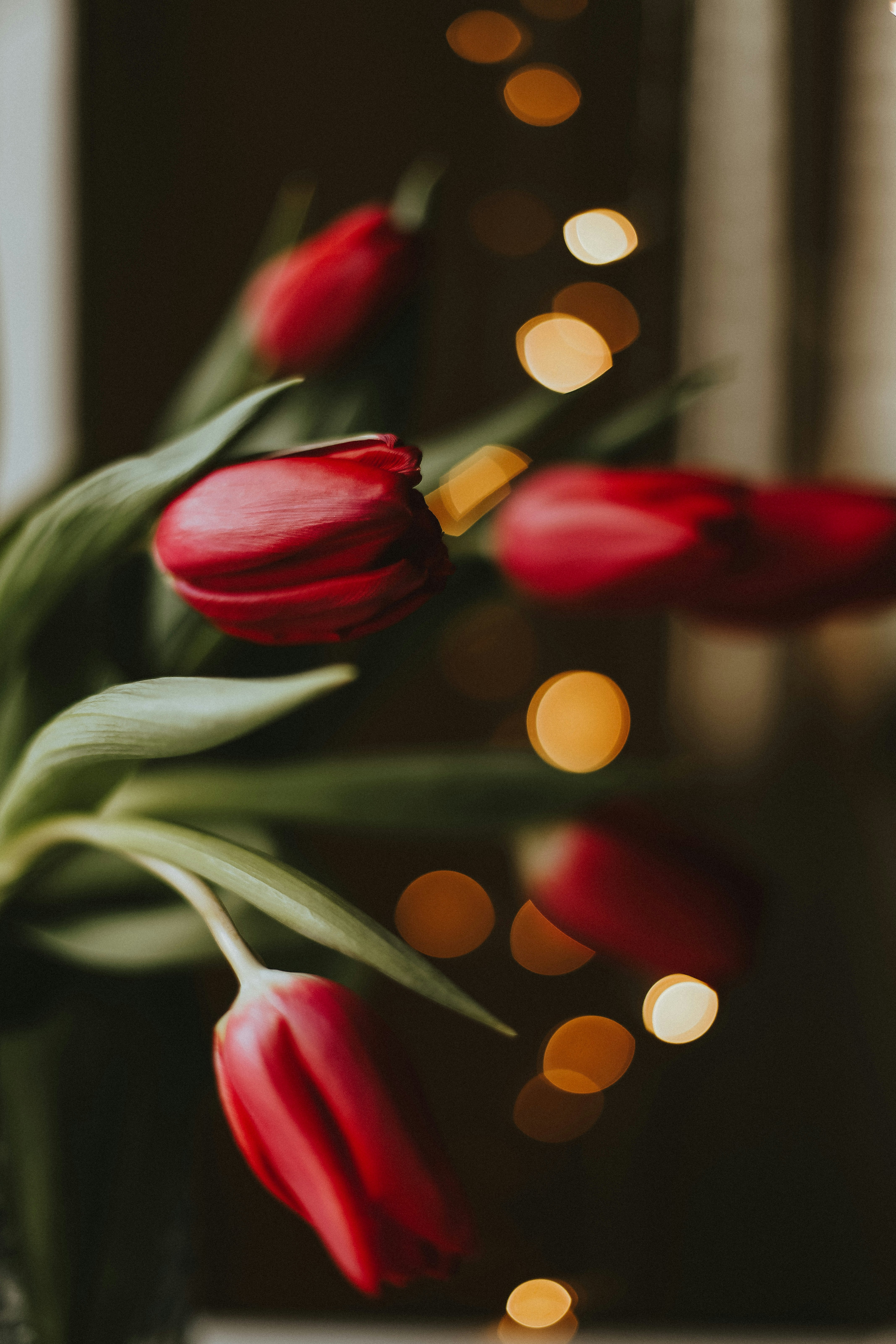 Photo by whynotnatali