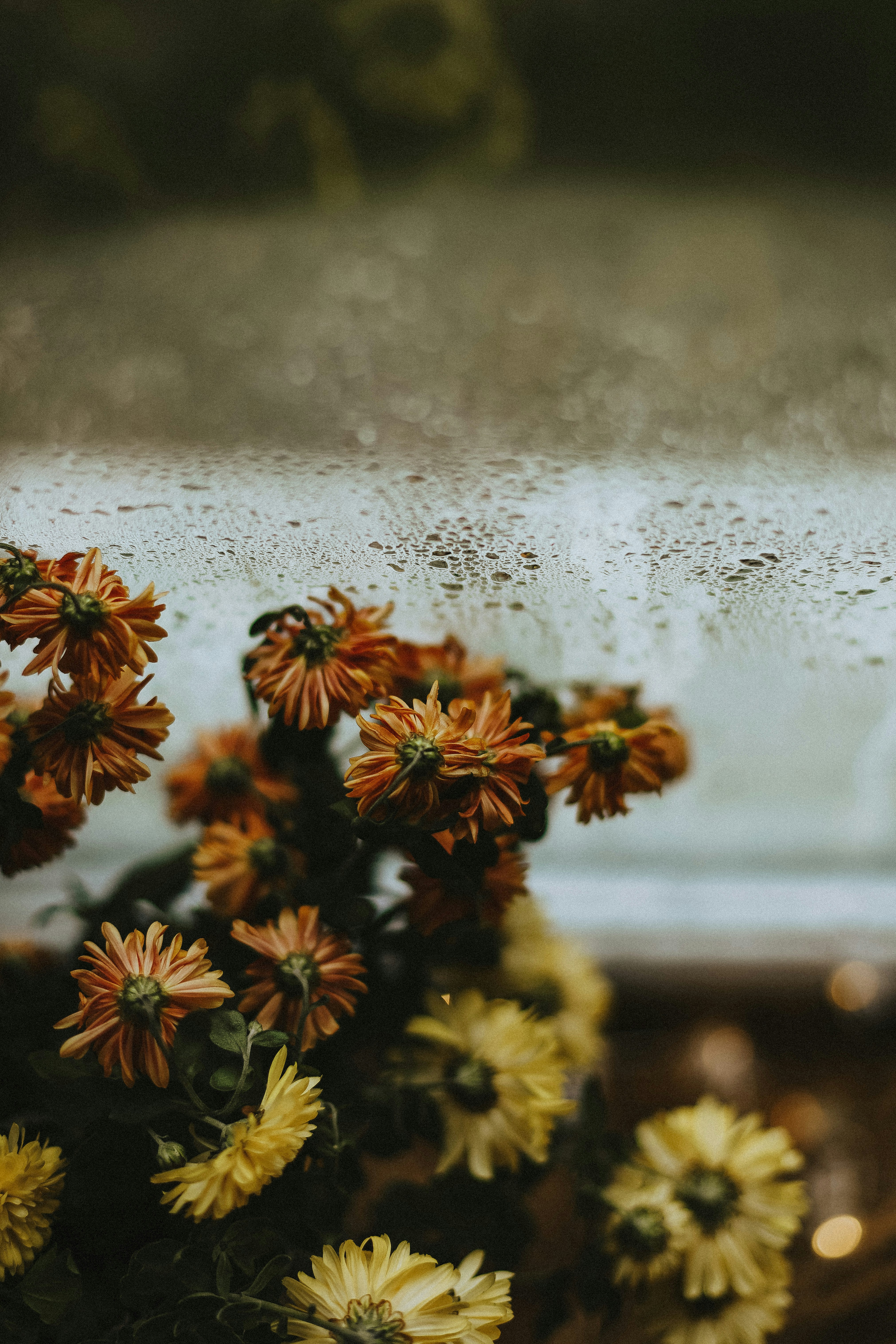 Photo by whynotnatali