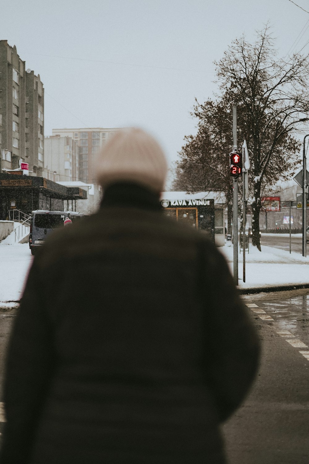 a person stands in front of a traffic light