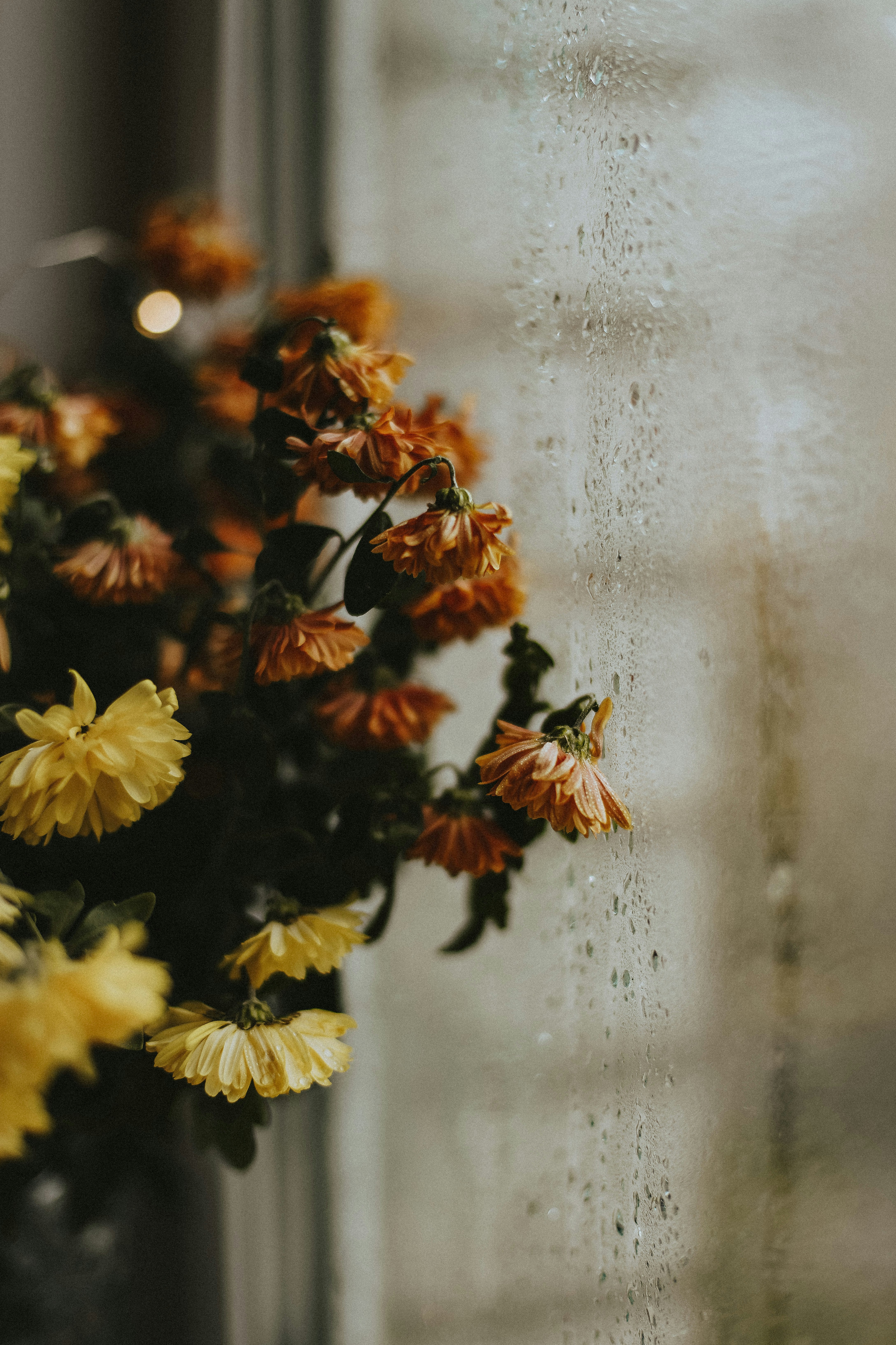 Photo by whynotnatali