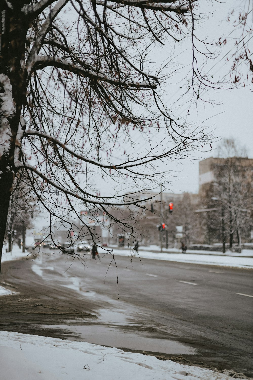 a street with snow on the ground