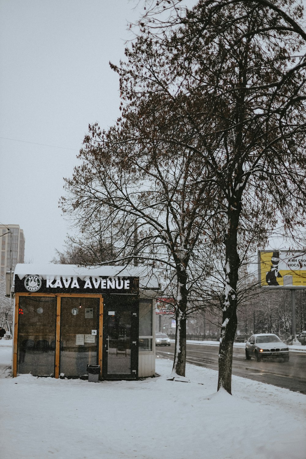 a tree in front of a store