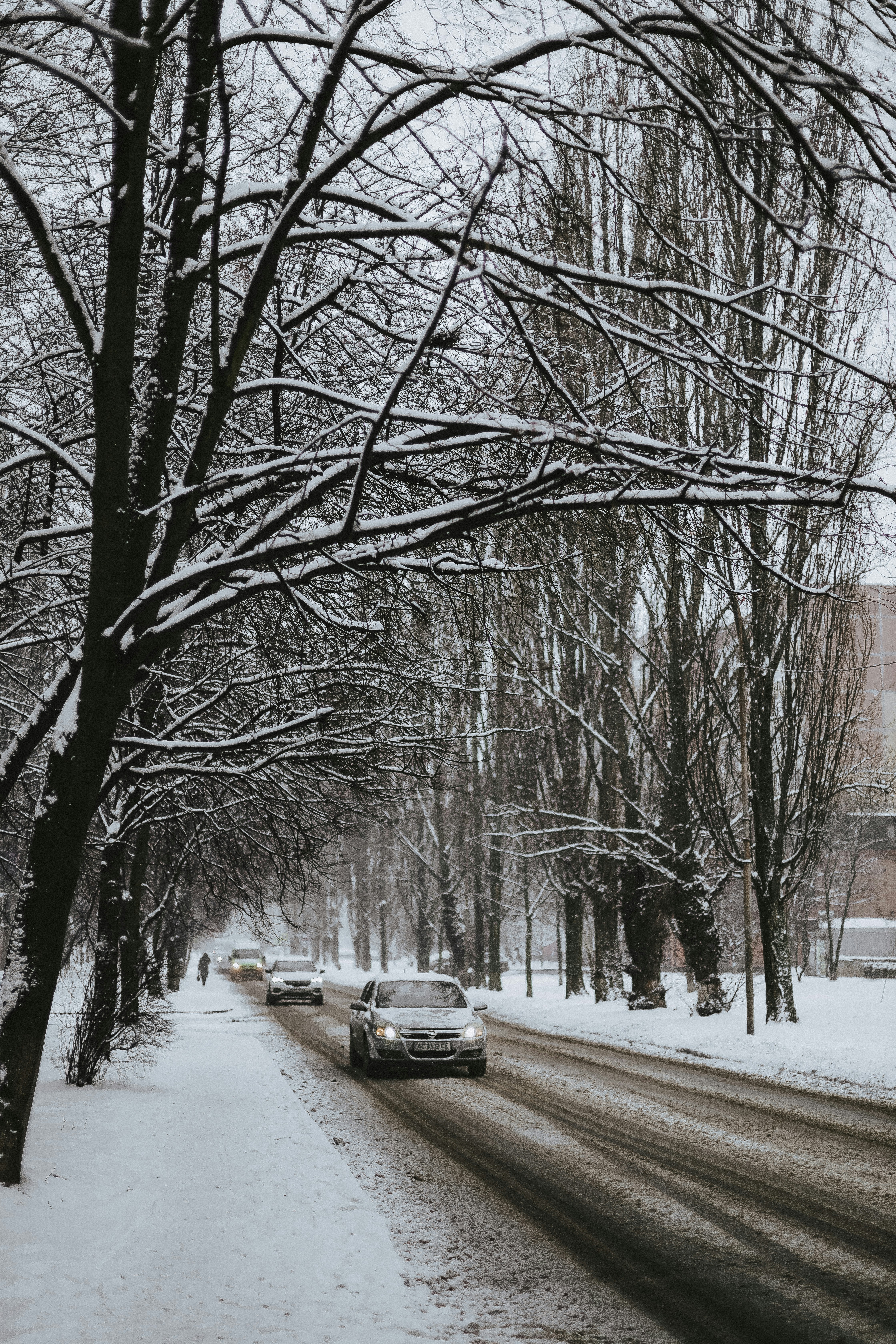 Photo by whynotnatali