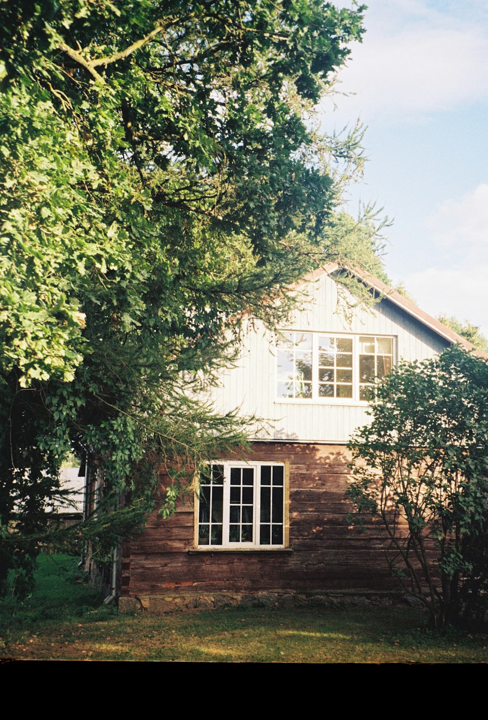 a house with a tree in front of it