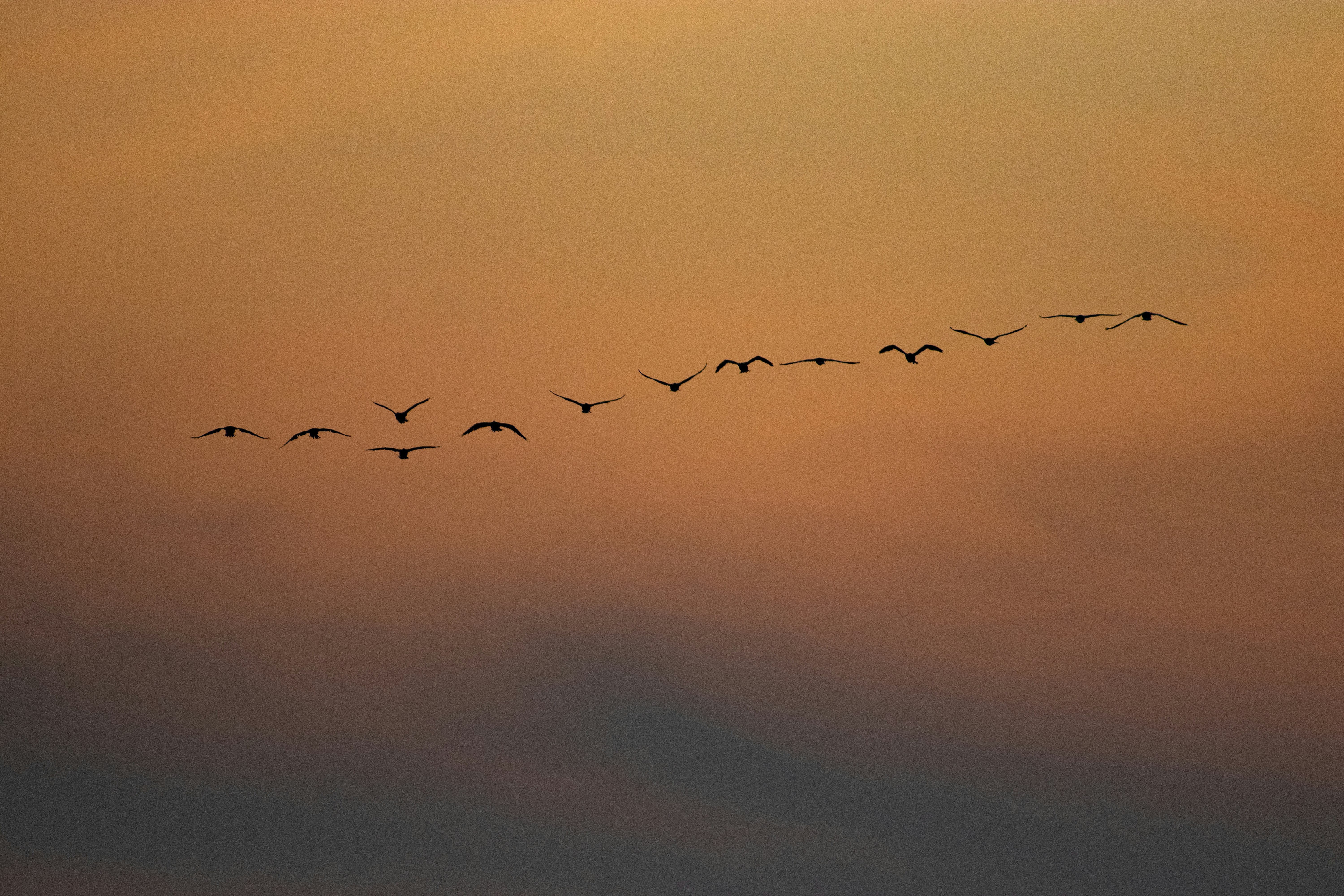 Photo by sonianadales